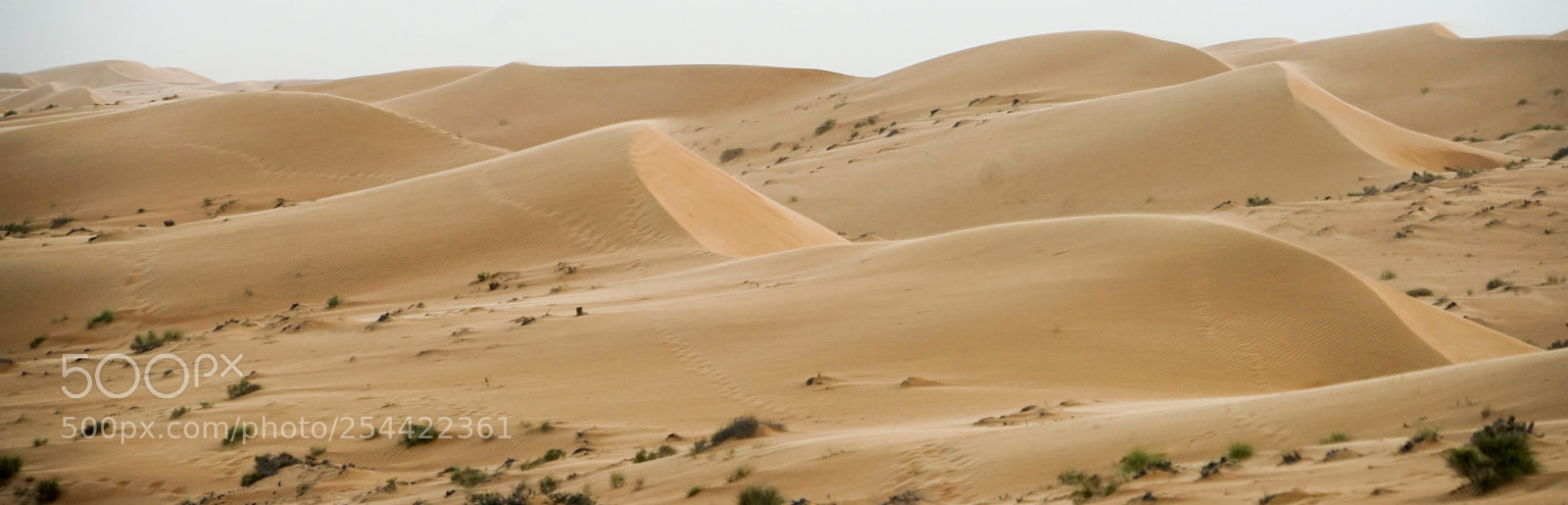 Sony a7 II sample photo. Wahiba sanddunes in strong photography