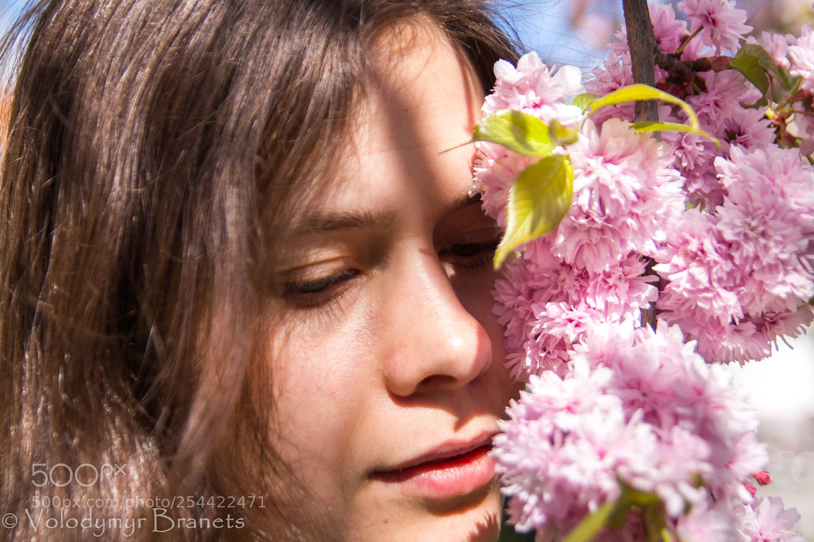 Canon EOS 700D (EOS Rebel T5i / EOS Kiss X7i) sample photo. Весна - справжнє диво. (Дженні Даунхем) photography