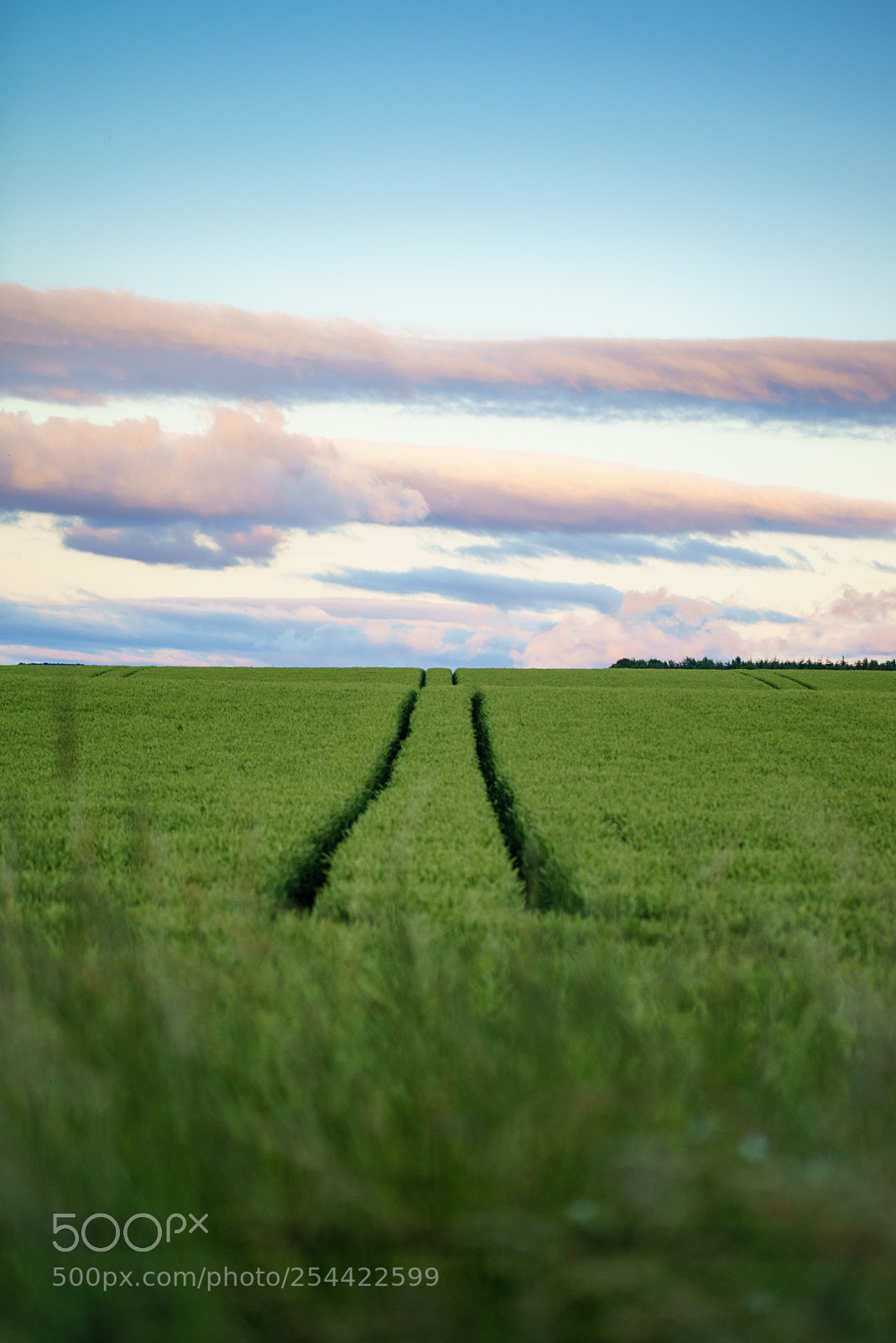 Sony a7R sample photo. Here to eternity photography