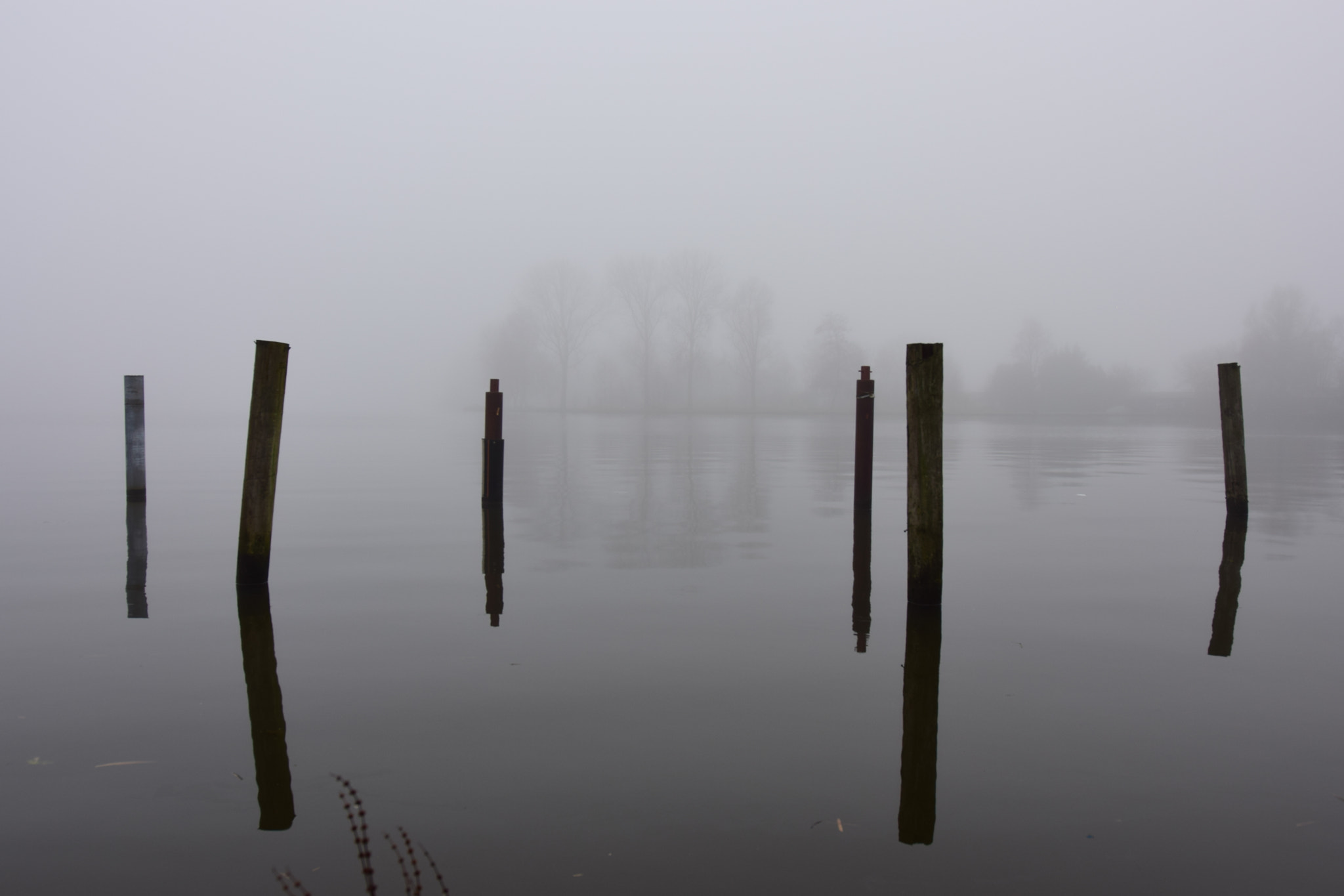 Nikon D3300 sample photo. Misty morning #2 photography