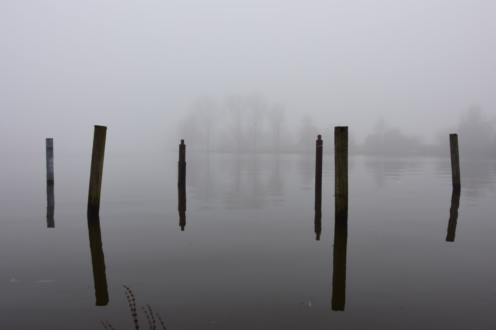 Sigma 18-35mm F1.8 DC HSM Art sample photo. Misty morning #2 photography