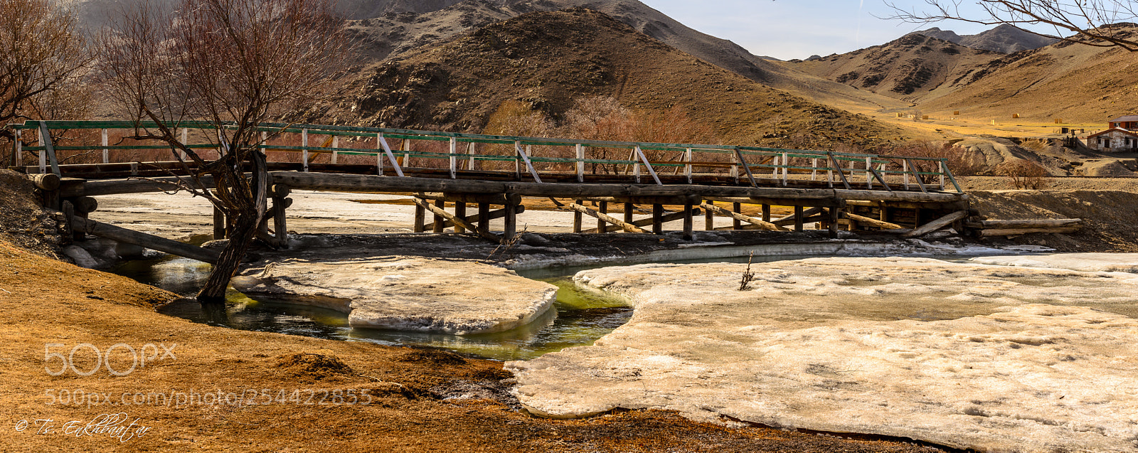 Nikon D5100 sample photo. Bridge photography