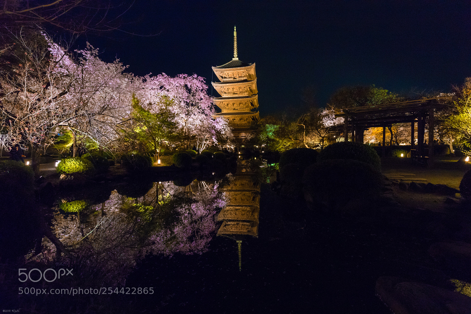 Canon EOS 6D Mark II sample photo. Toji night reflections photography