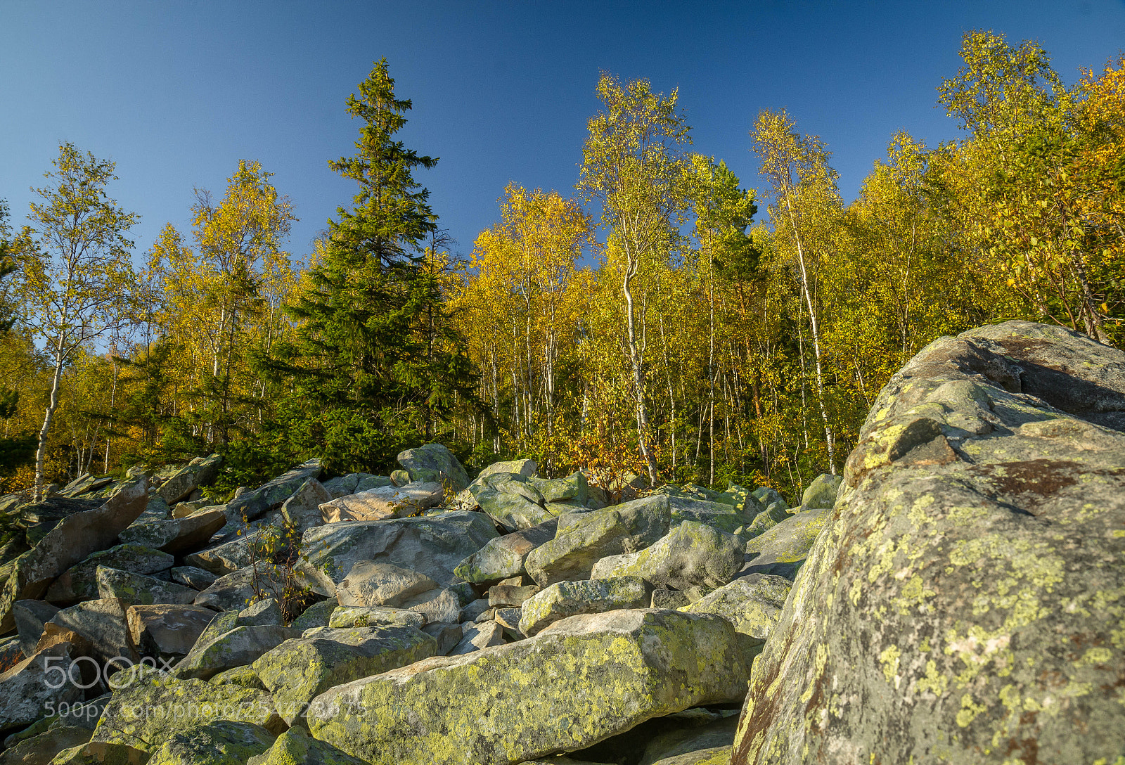 Canon EOS 60D sample photo. Stones and forest photography