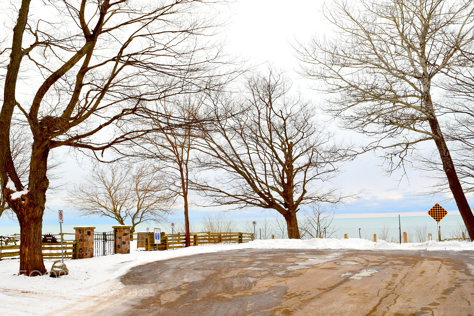 Nikon D3300 sample photo. Winter beauty photography