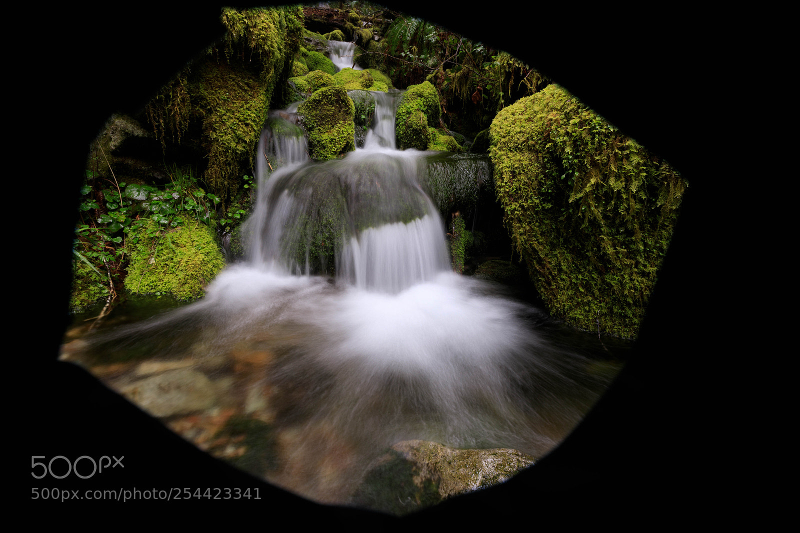 Canon EOS 5D Mark IV sample photo. Framed with lens hood photography