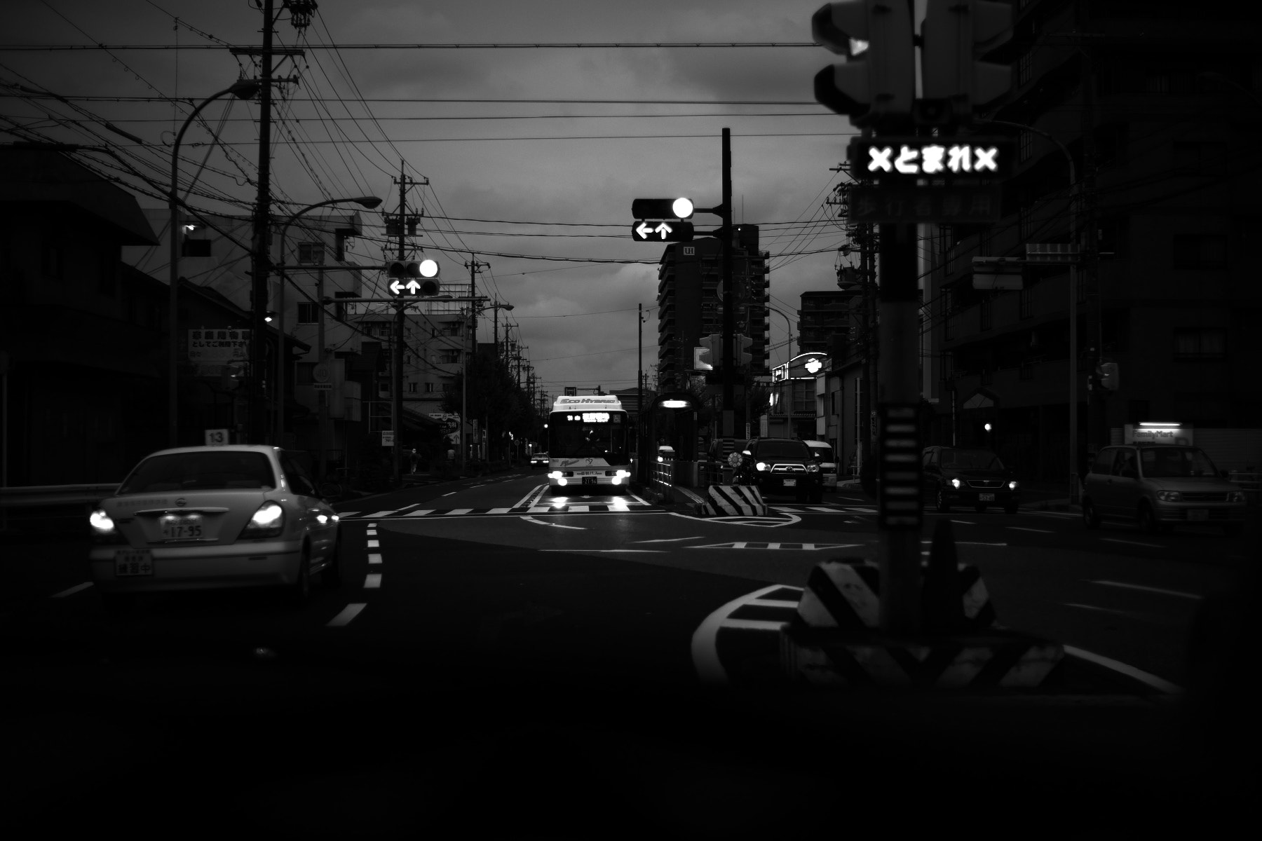 Sony Alpha DSLR-A900 sample photo. Bwslk photography