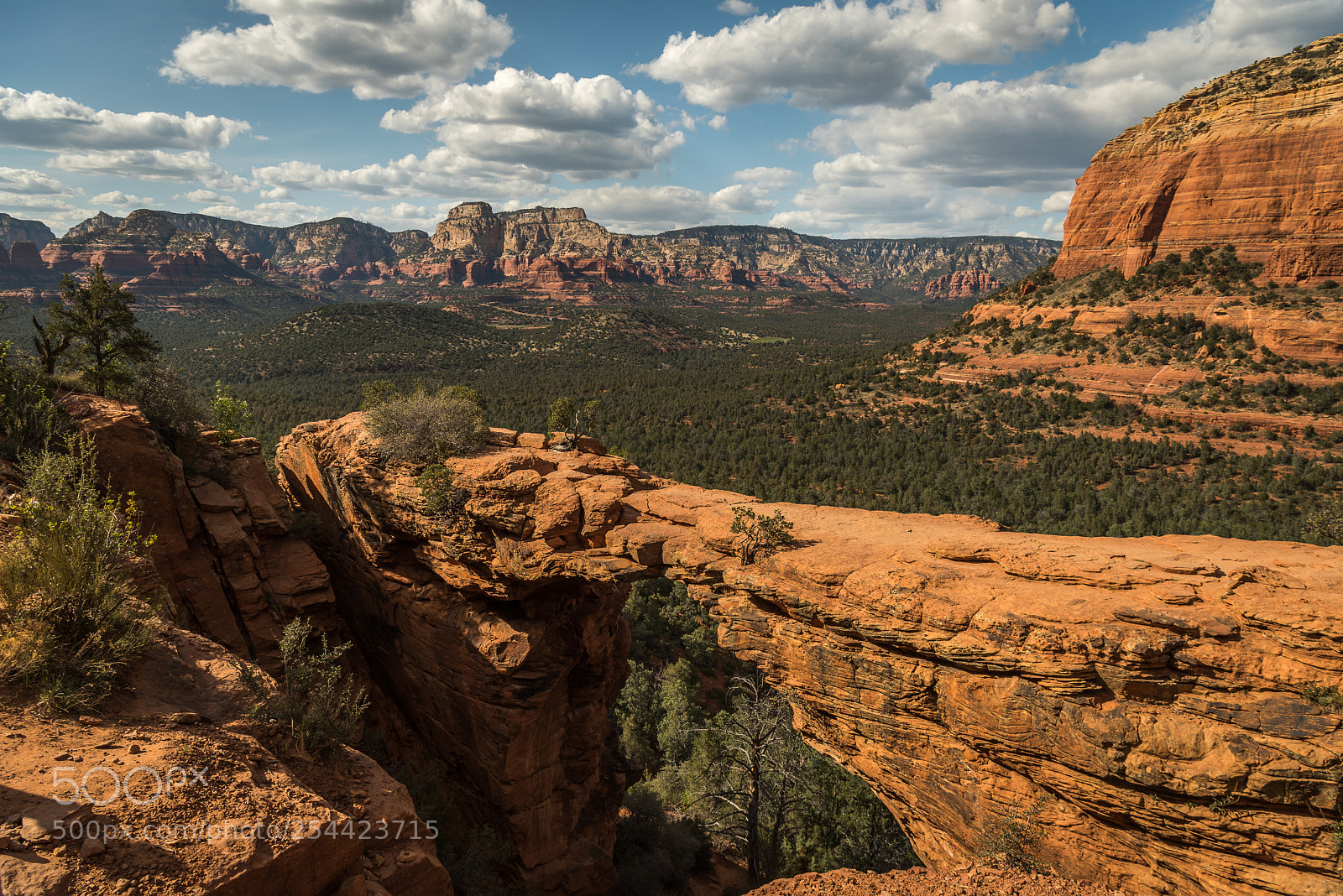 Nikon D810 sample photo. Devil's bridge, sedona photography