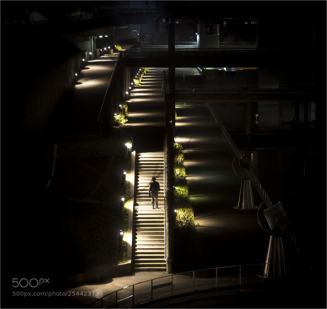 Panasonic Lumix DMC-GX8 sample photo. Seul dans la nuit photography