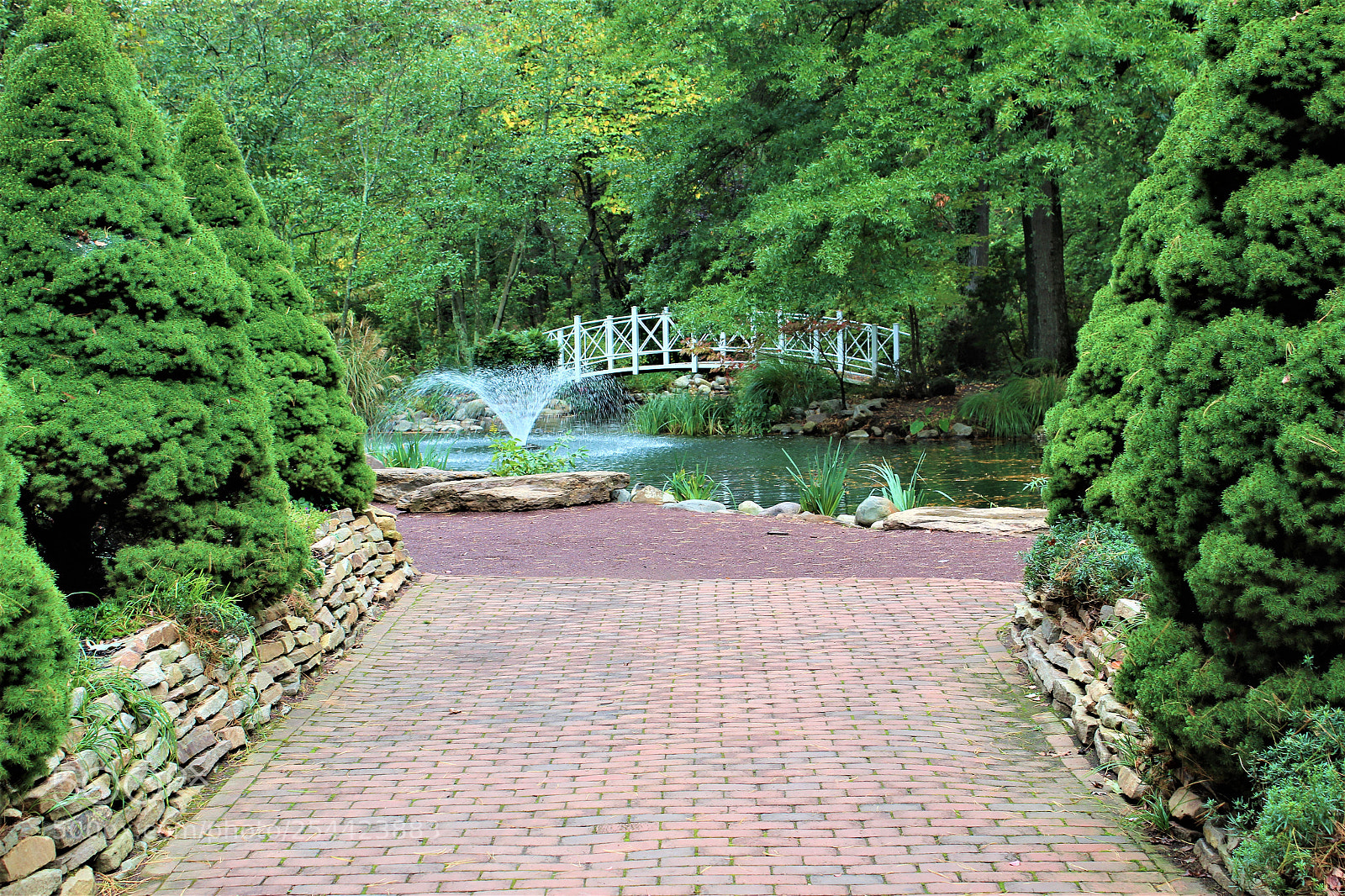 Canon EOS 1300D (EOS Rebel T6 / EOS Kiss X80) sample photo. A walk toward paradise photography
