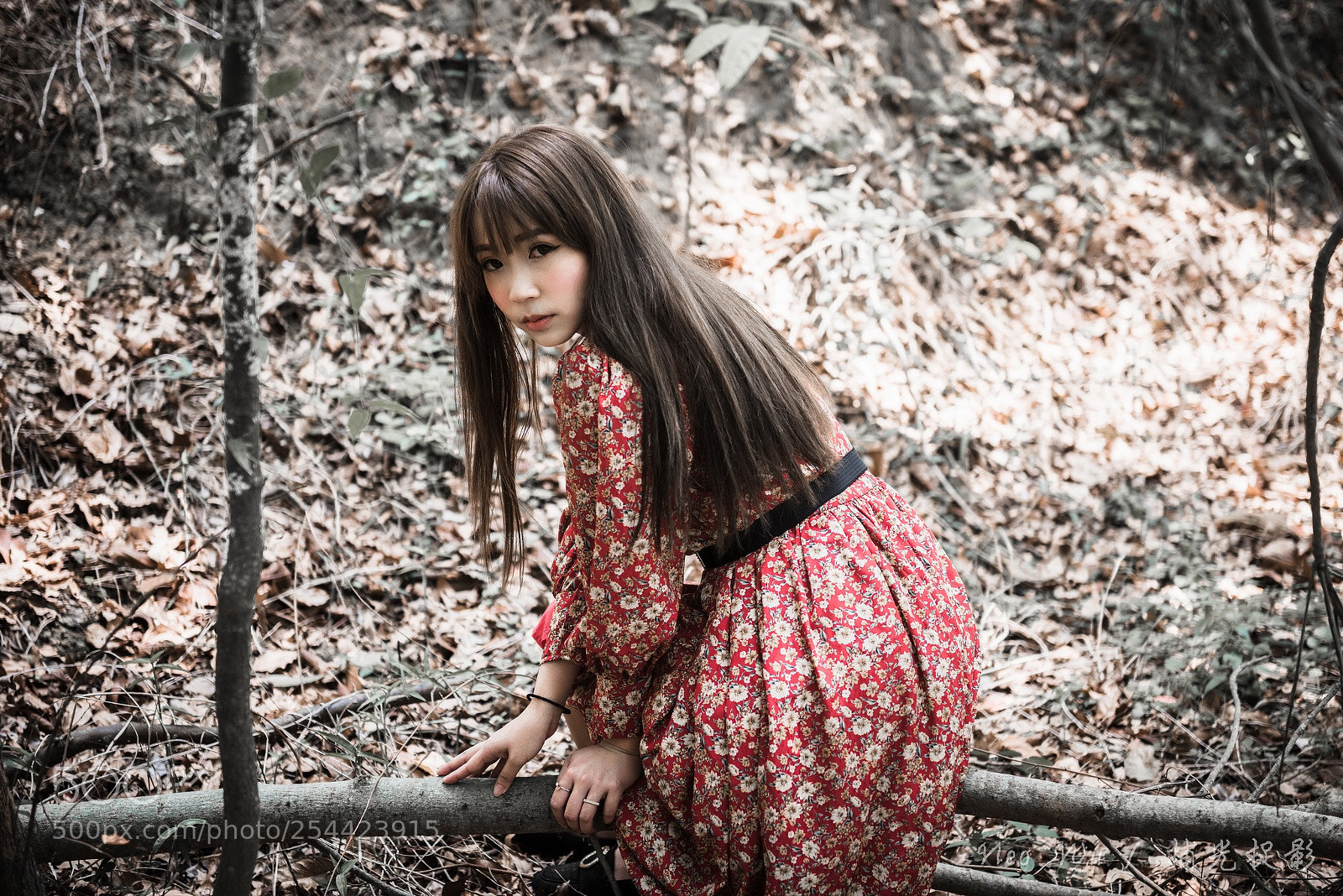 Nikon D810 sample photo. Untitled photography
