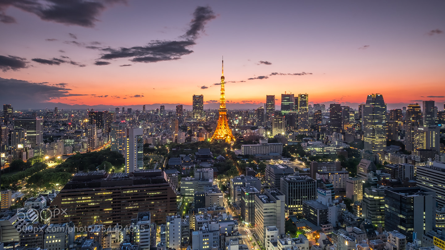 Fujifilm X-T10 sample photo. Tokyo skyline photography