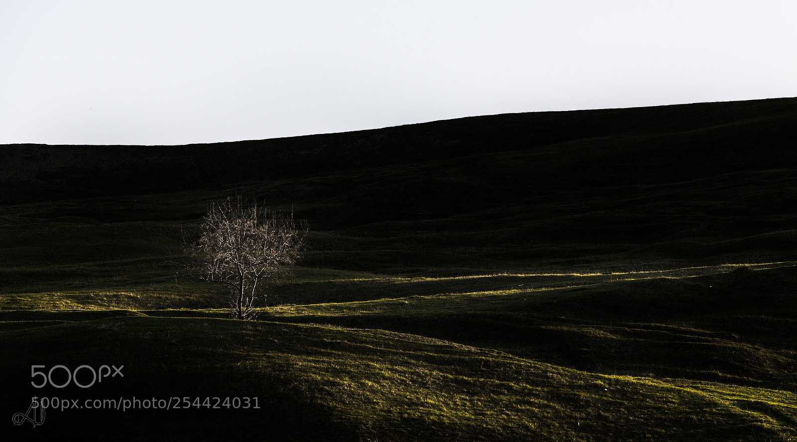 Canon EOS 5D Mark II sample photo. Landscape photography