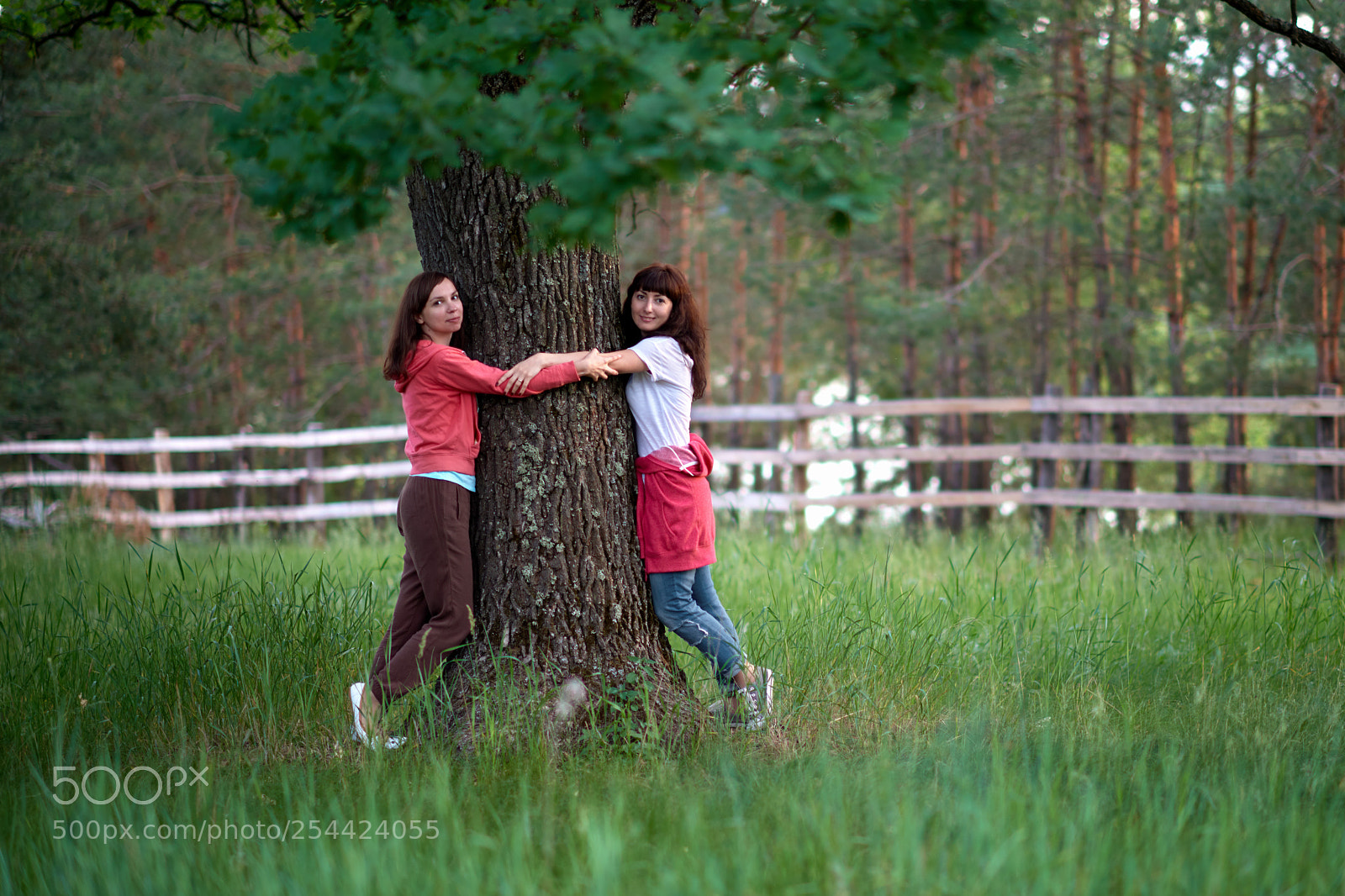 Nikon D810 sample photo. копия photography