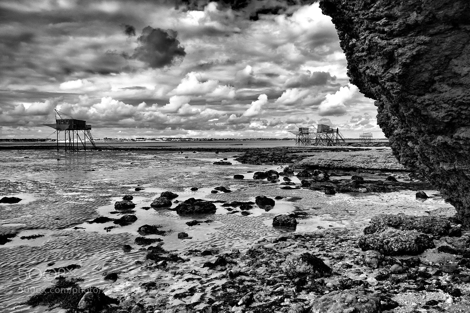 Fujifilm X-Pro1 sample photo. Les gardiens ii photography