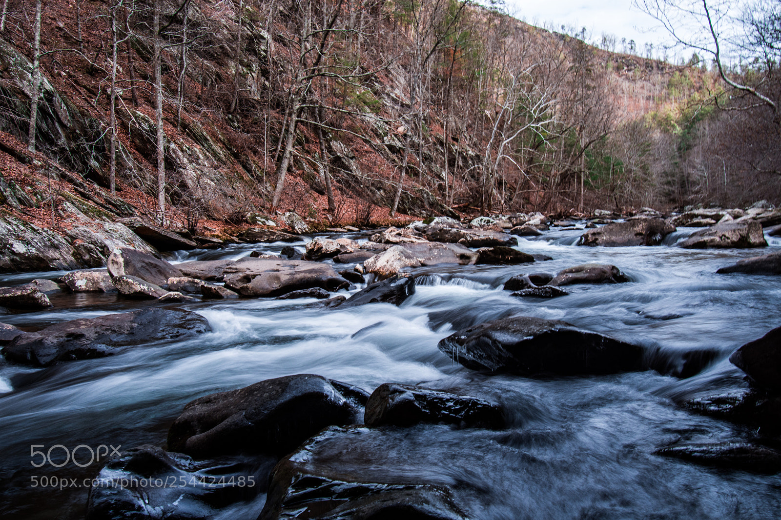 Nikon D7200 sample photo. Walk along the river 3 photography