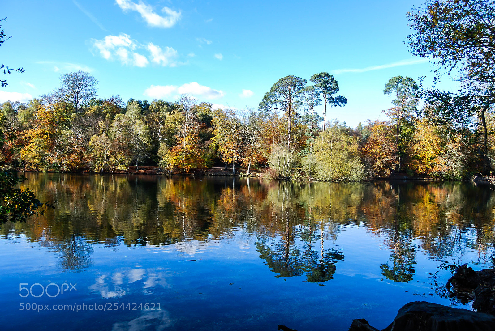 Nikon D40X sample photo. Hinchinbrooke park lake photography