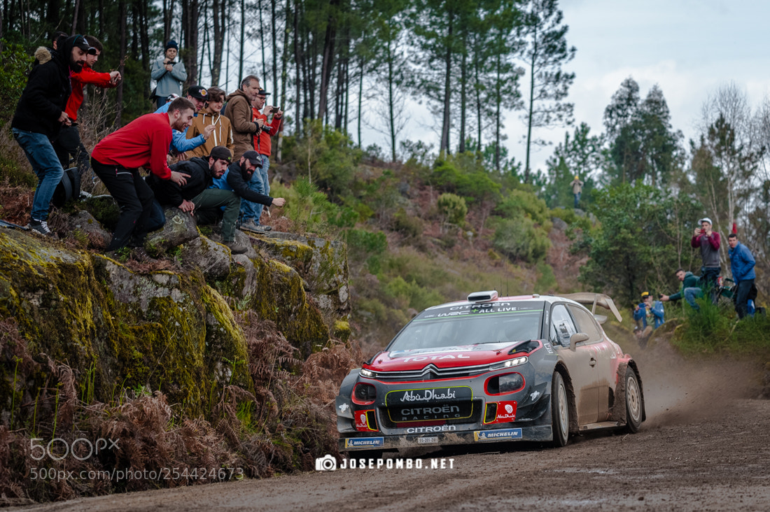Nikon D700 sample photo. Wrc photography