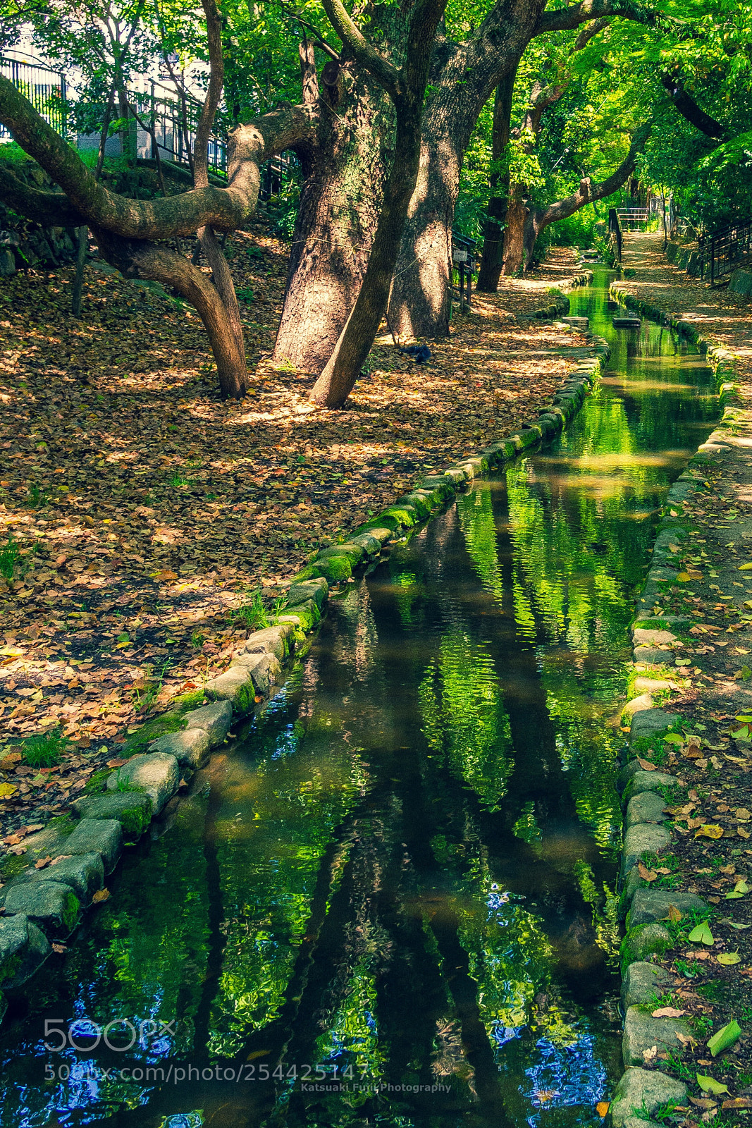 Olympus OM-D E-M10 sample photo. Green water pass photography