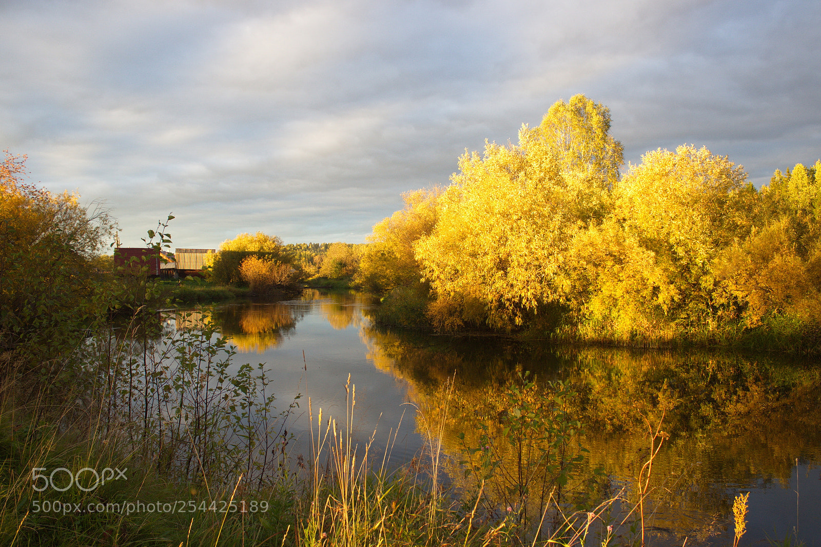 Canon EF-S 18-55mm F3.5-5.6 III sample photo. В золоте заката photography
