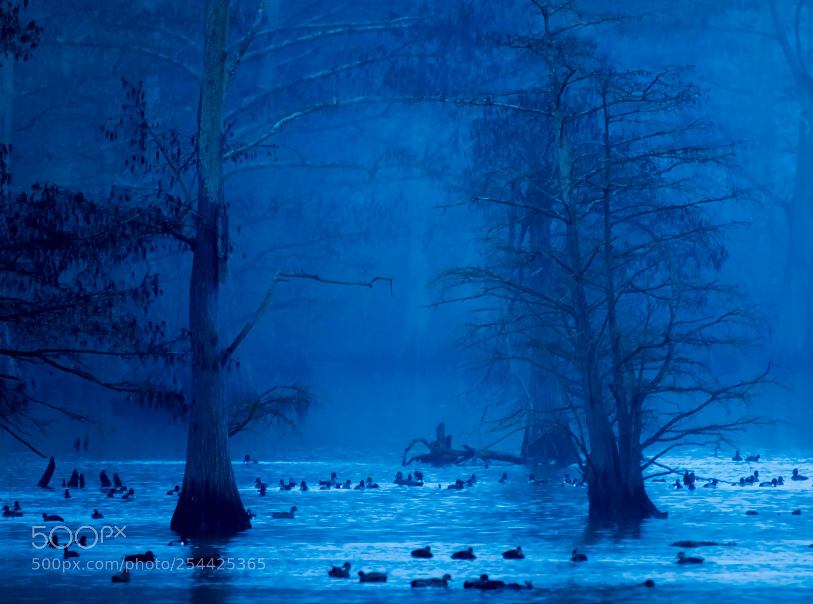 Nikon D7200 sample photo. Blue hour photography
