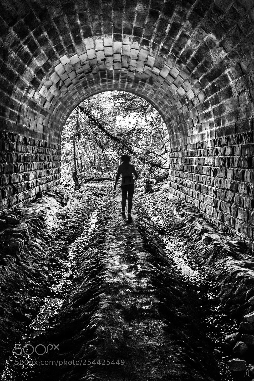 Fujifilm X-T2 sample photo. The tunnel photography