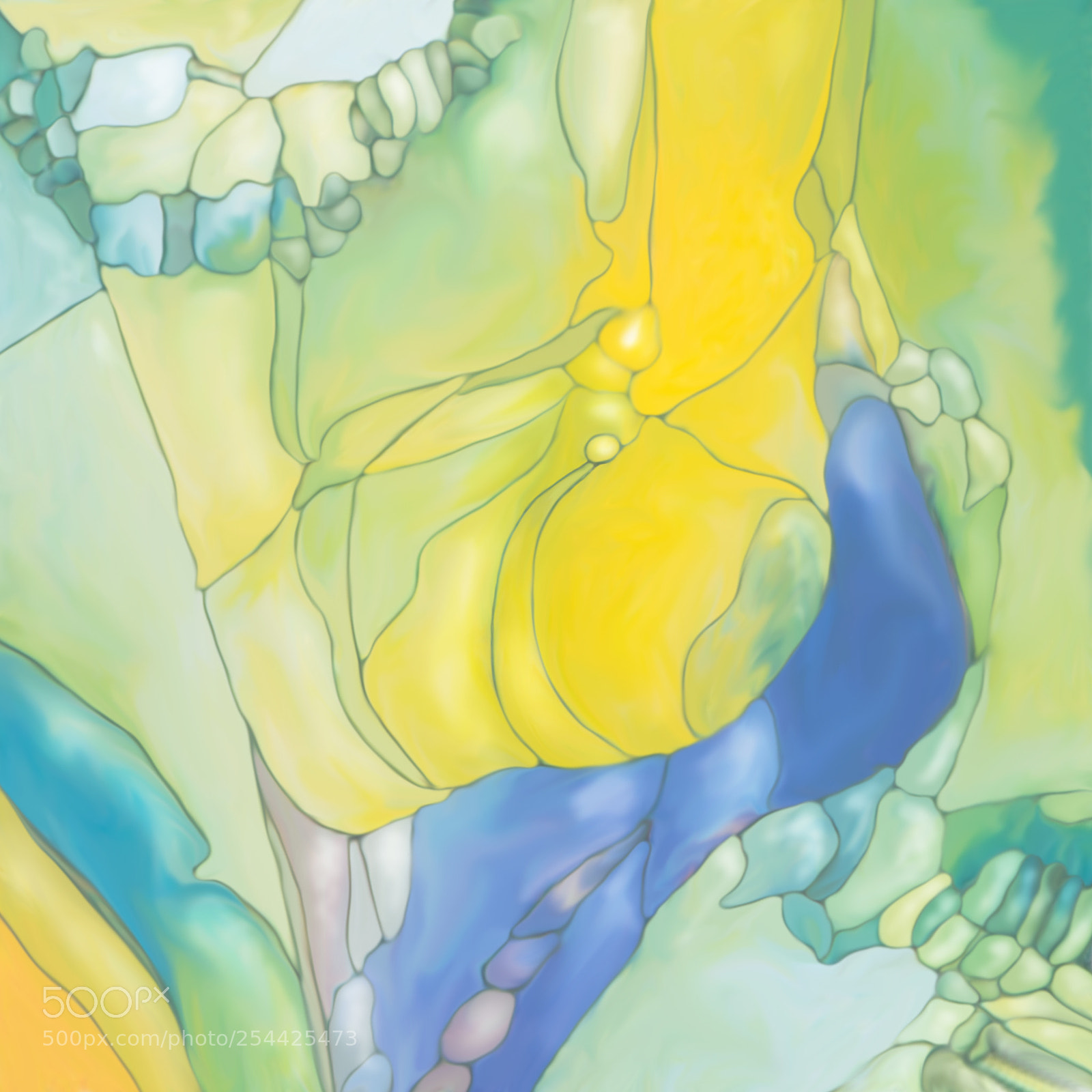 Nikon D7100 sample photo. Abstract plant and flower photography