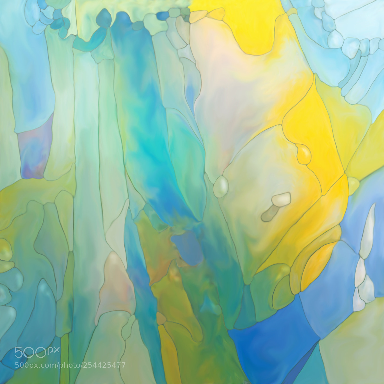 Nikon D7100 sample photo. Abstract plant and flower photography