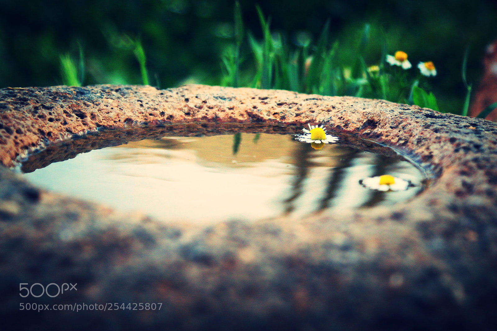 Canon EOS 70D sample photo. Untitled photography