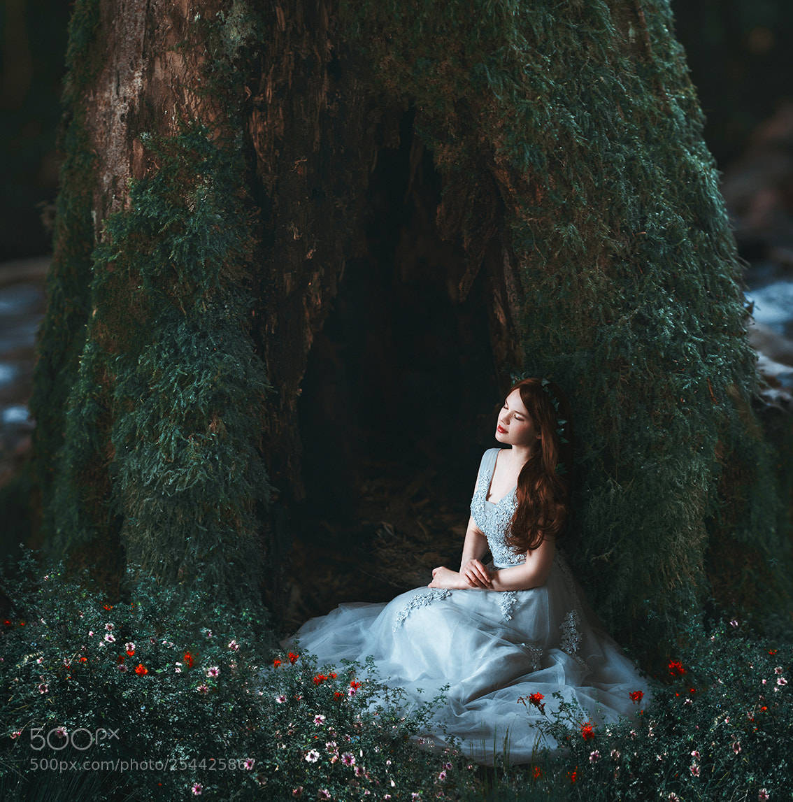 Canon EOS 7D Mark II sample photo. In my dreamland photography