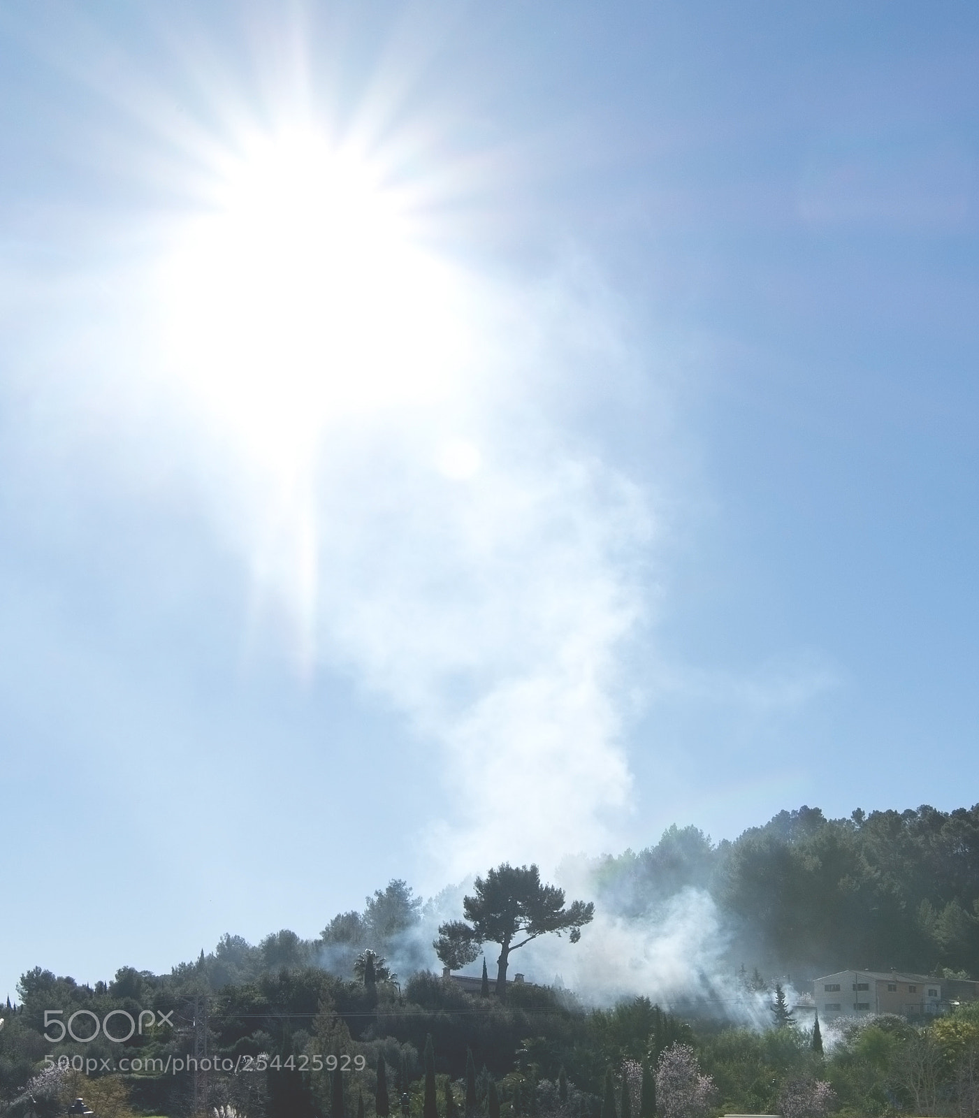 Nikon D7100 sample photo. Smoke rising up from photography