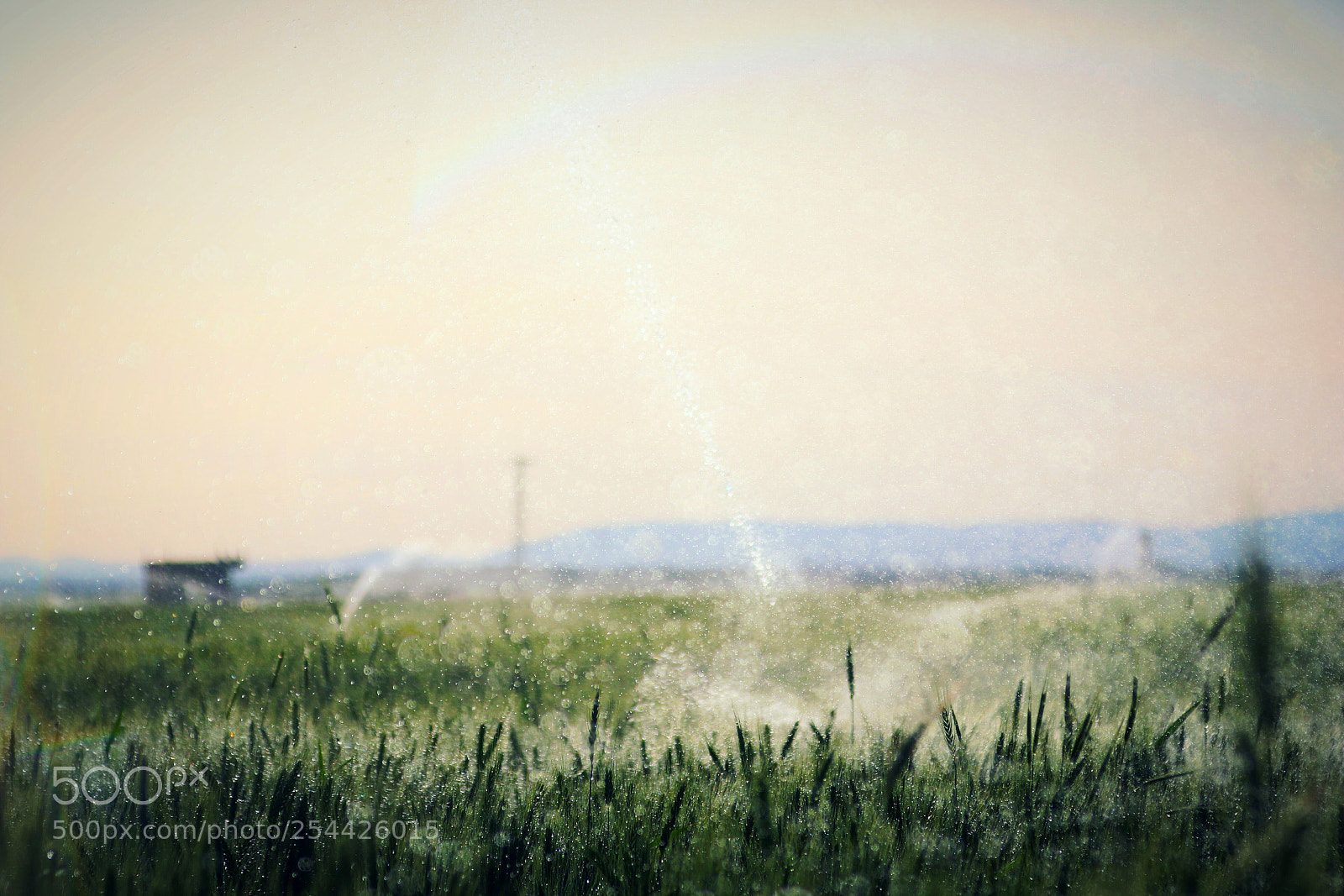 Canon EOS 70D sample photo. Untitled photography