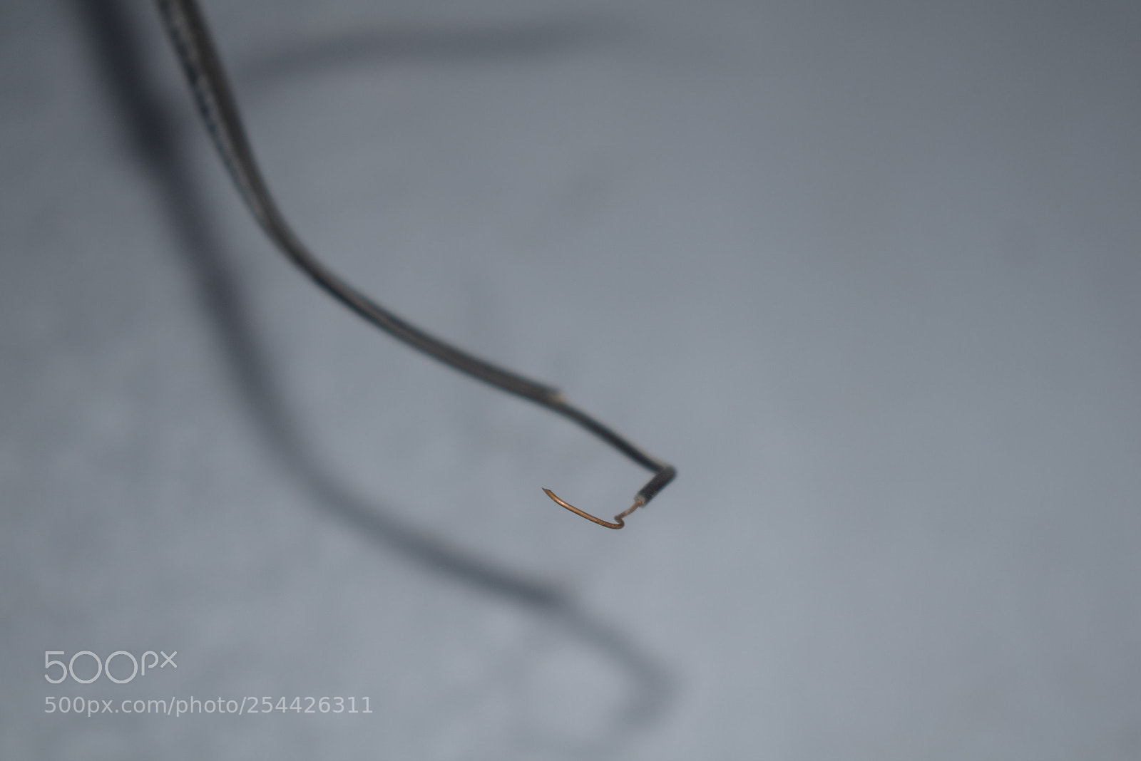 Nikon D5300 sample photo. [] photography