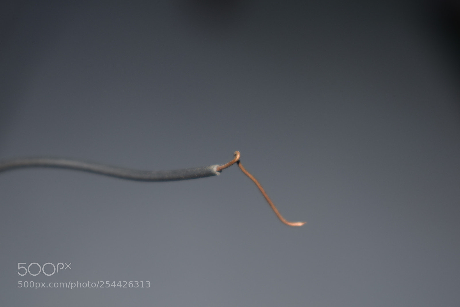 Nikon D5300 sample photo. [] photography
