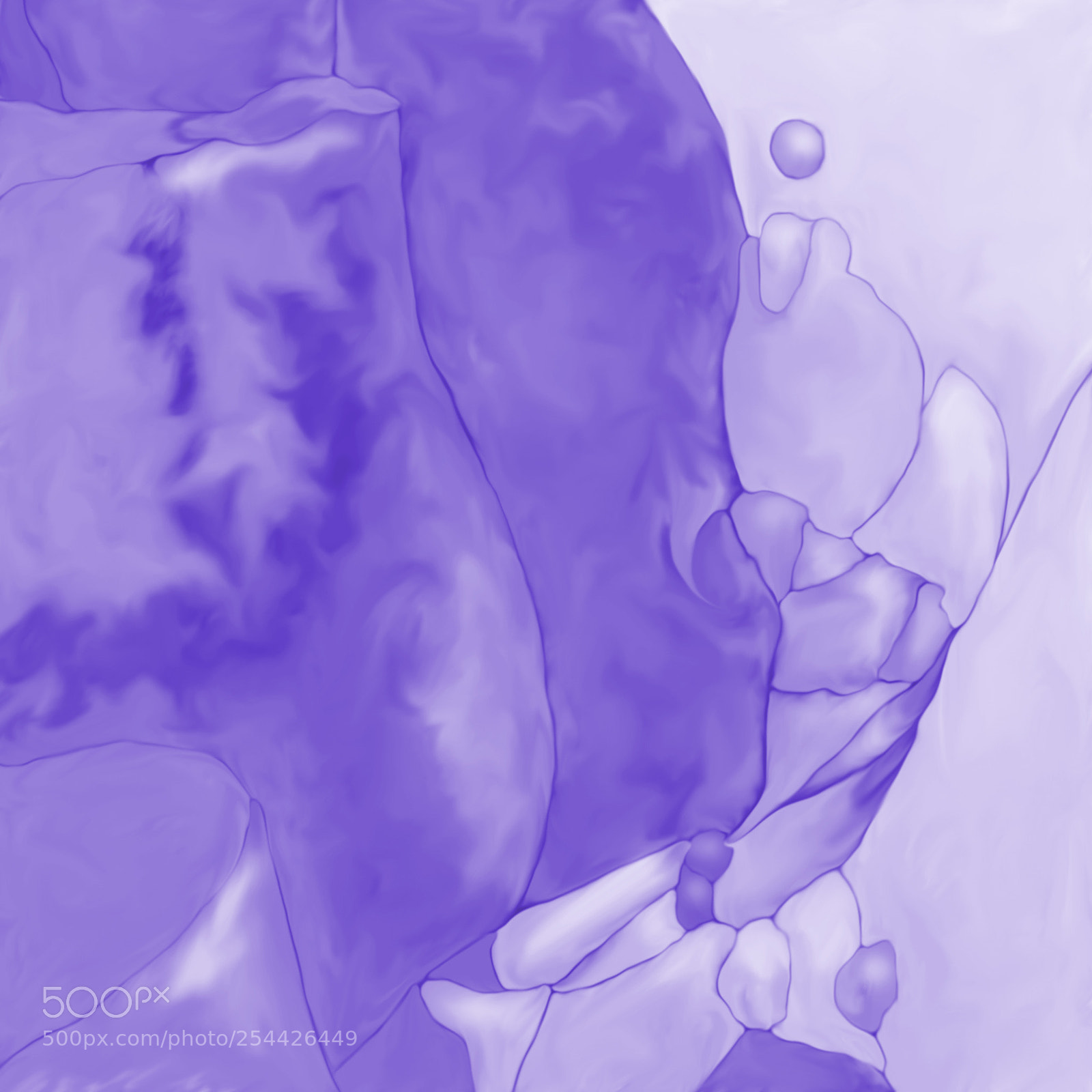 Nikon D7100 sample photo. Abstract plant and flower photography