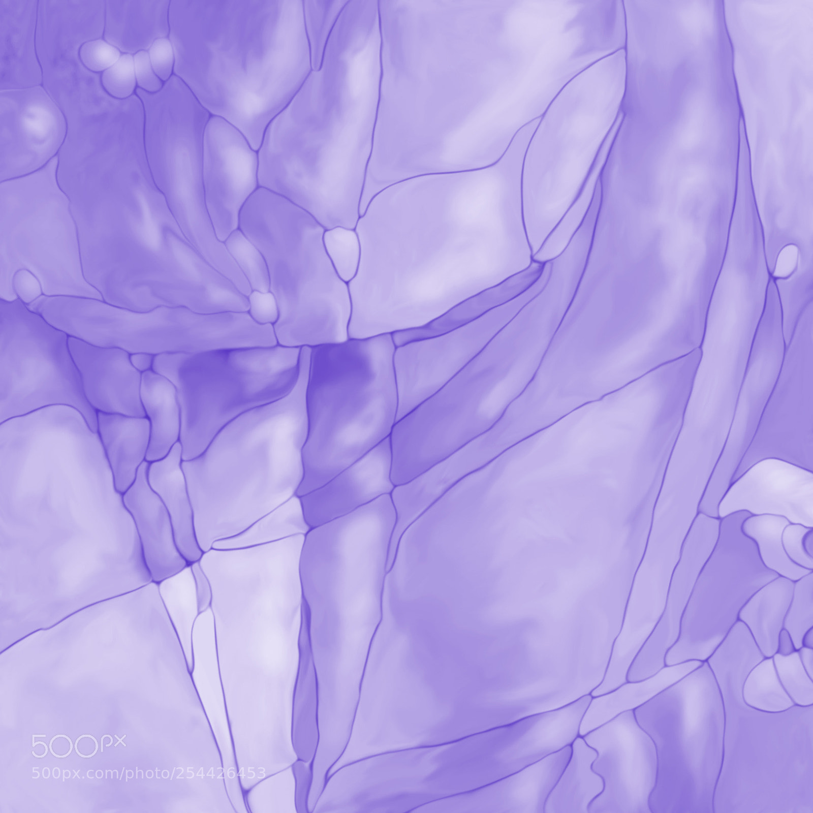 Nikon D7100 sample photo. Abstract plant and flower photography