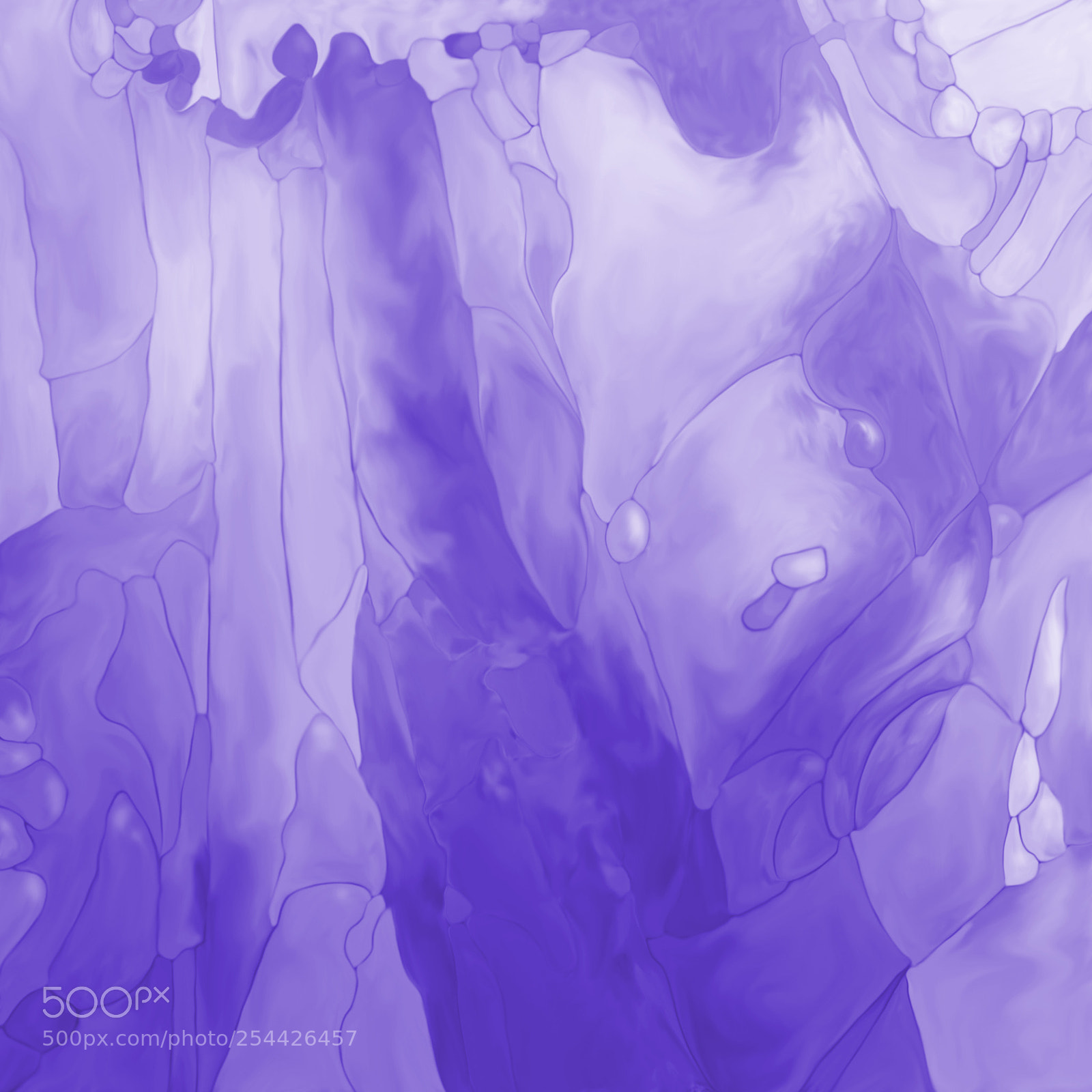 Nikon D7100 sample photo. Abstract plant and flower photography
