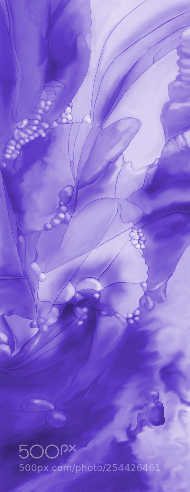 Nikon D7100 sample photo. Abstract plant and flower photography