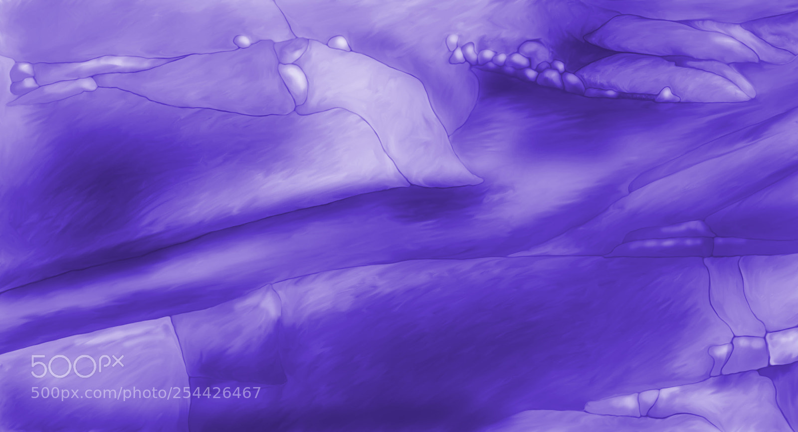 Nikon D7100 sample photo. Abstract plant and flower photography