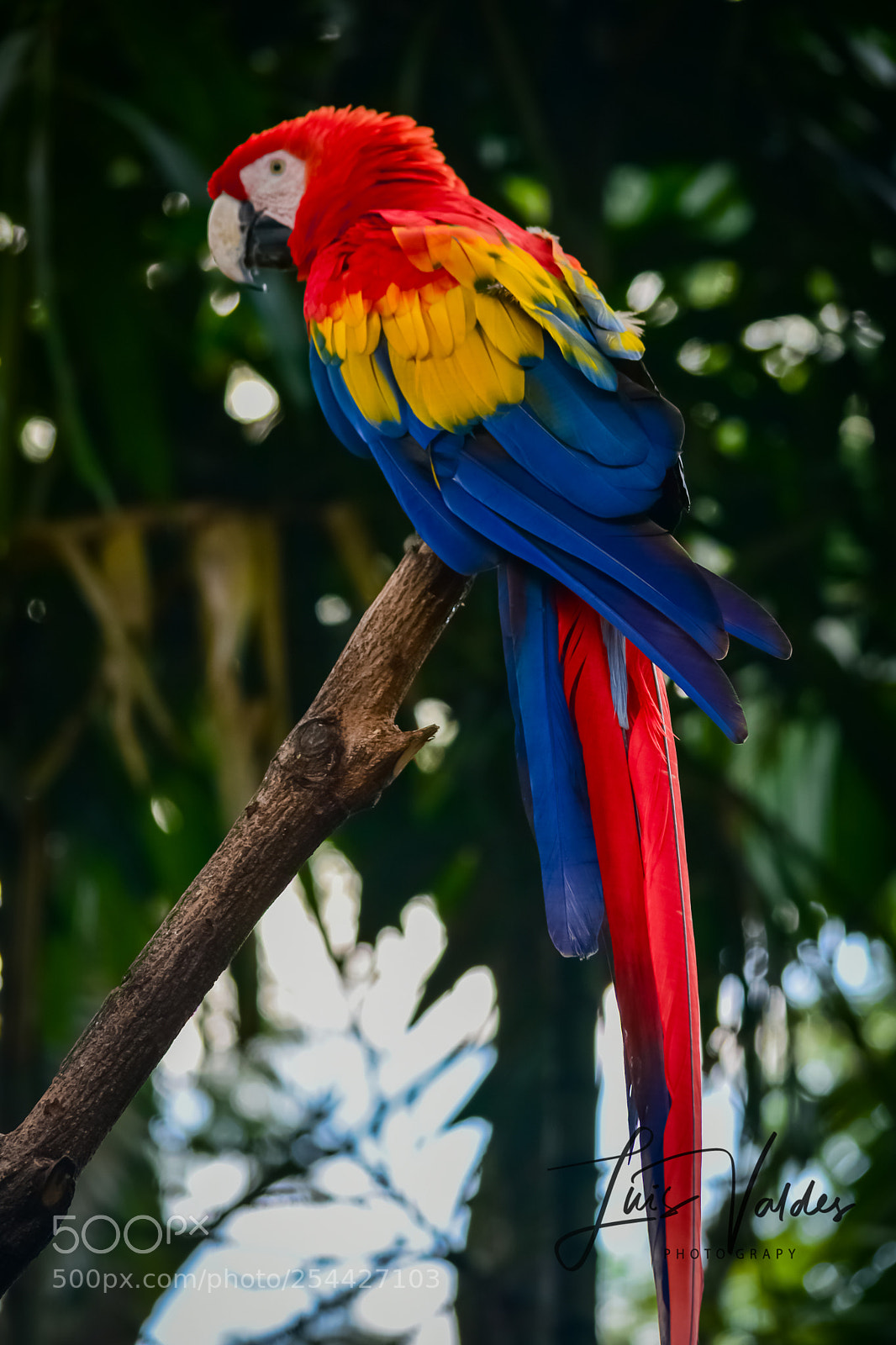 Nikon D7200 sample photo. Color! photography