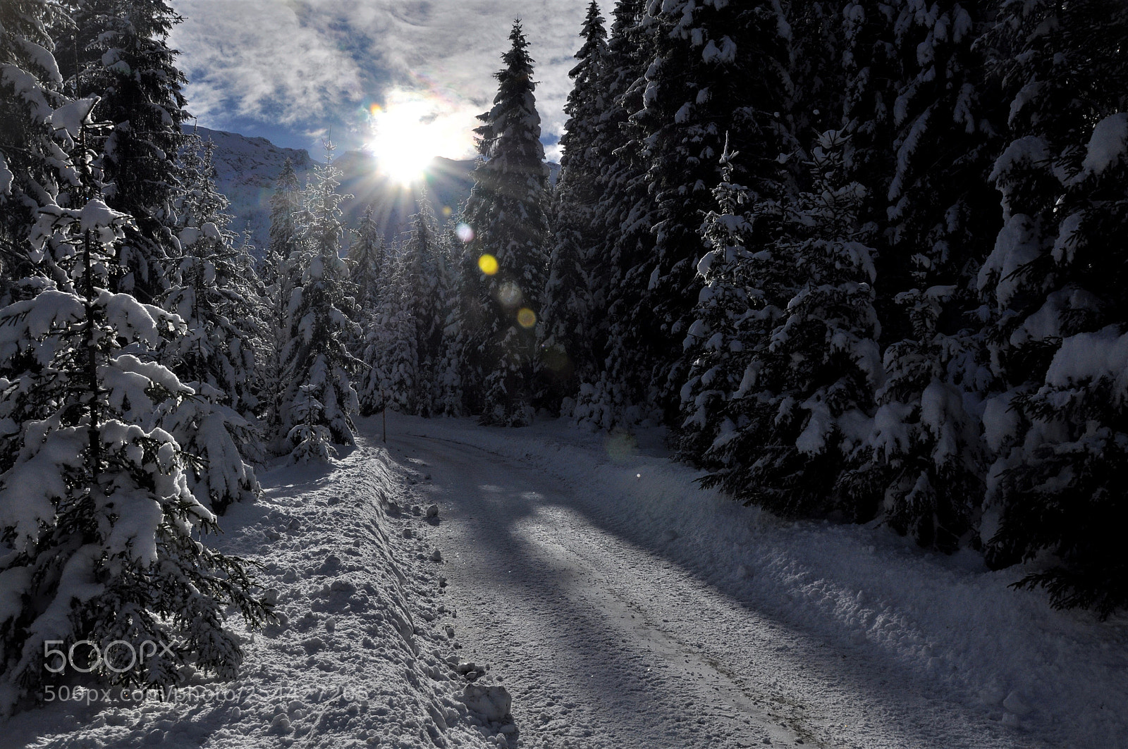 Nikon D90 sample photo. Against the austrian sun 1 photography