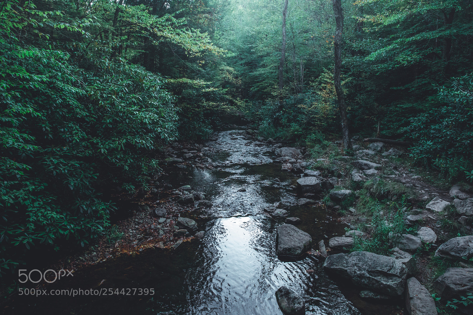 Canon EOS 5D Mark IV sample photo. Hickory run bridge over photography