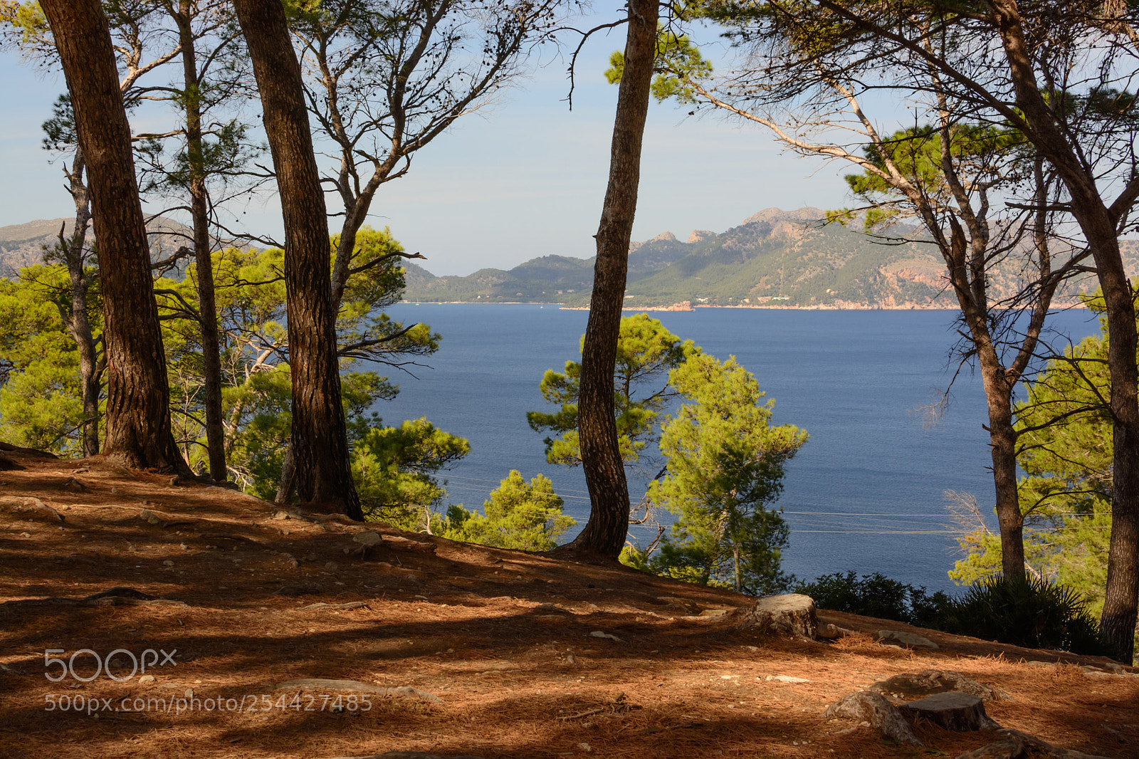Nikon D7100 sample photo. View with trees pollensa photography