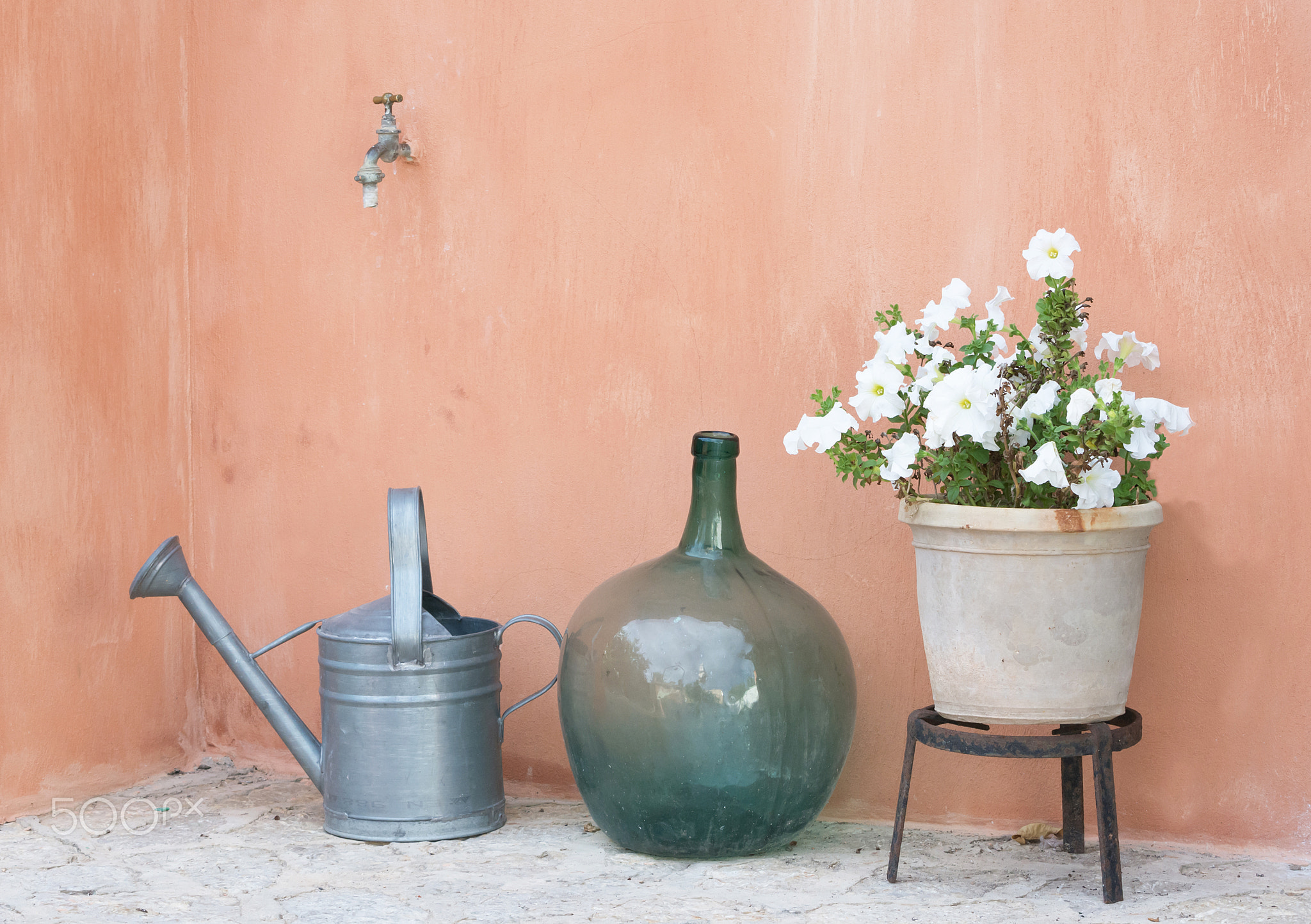 Garden still life