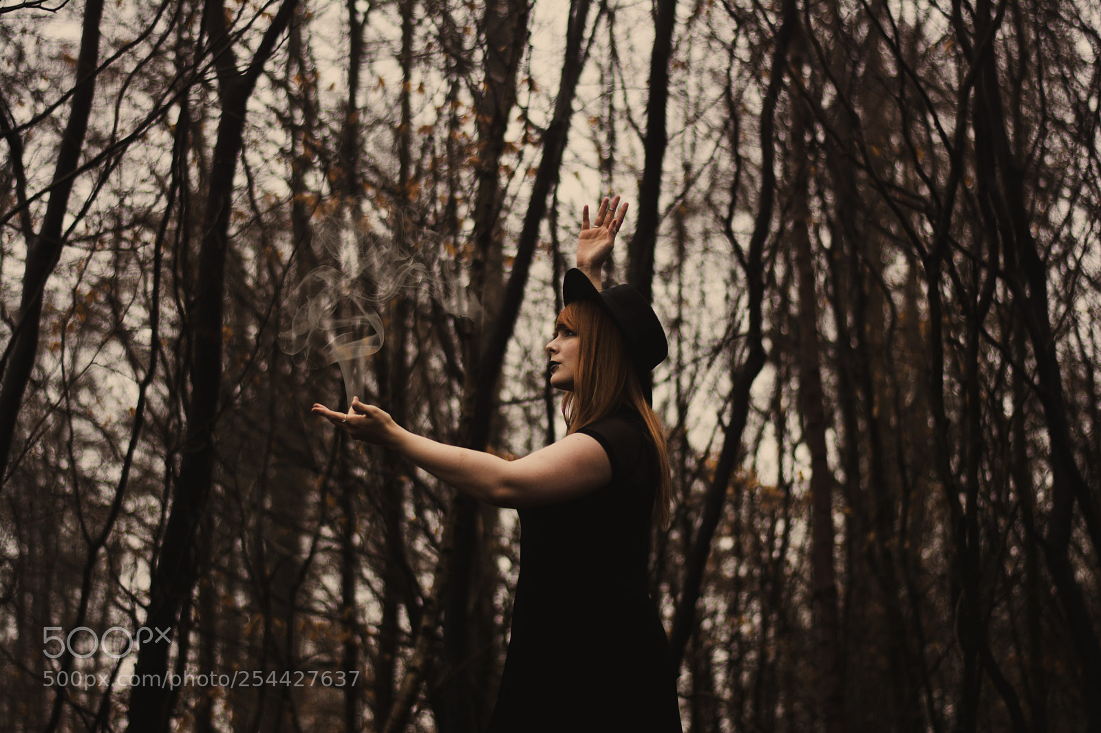 Nikon D5200 sample photo. Witch's dance. photography