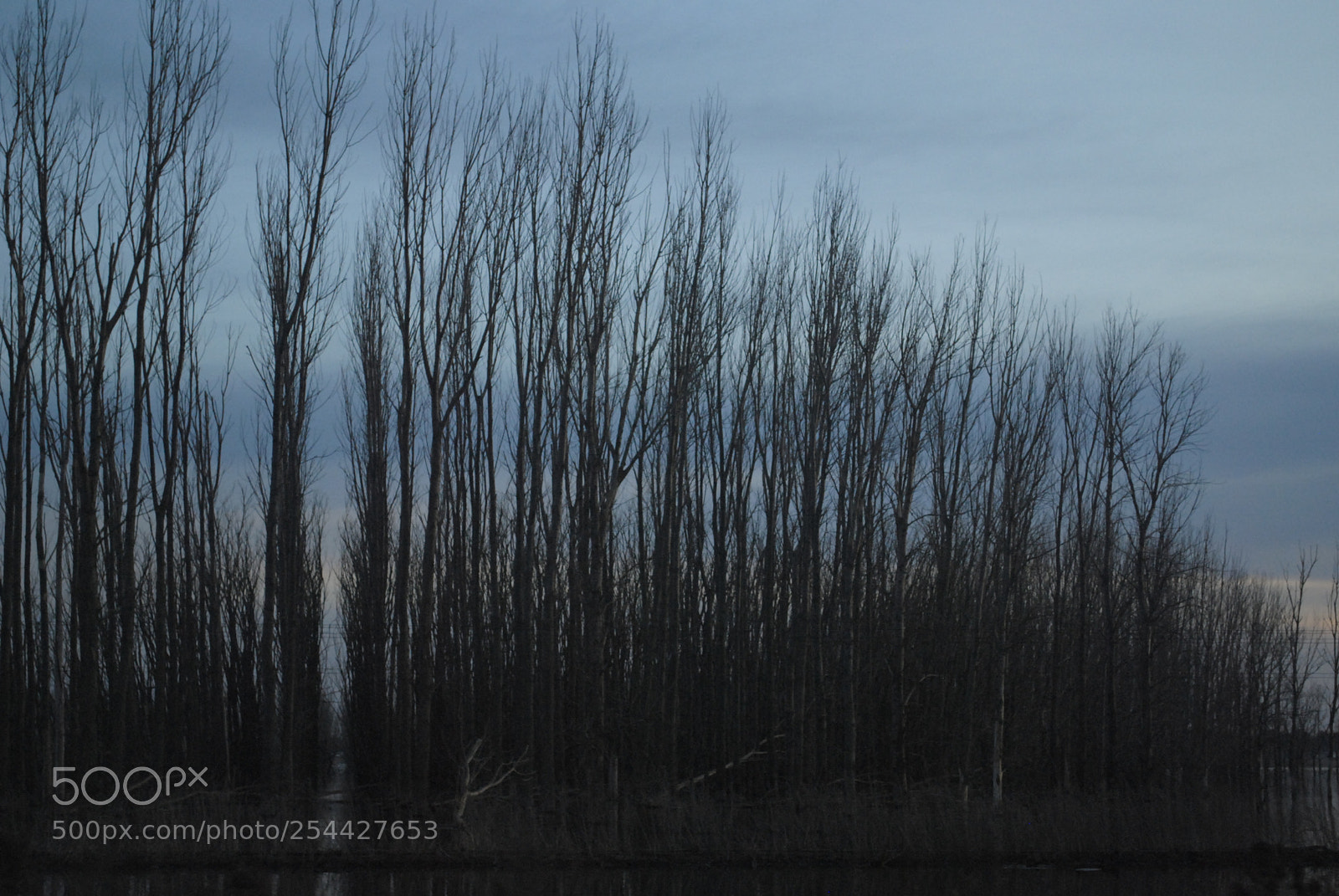 Nikon D3000 sample photo. Naturaleza photography