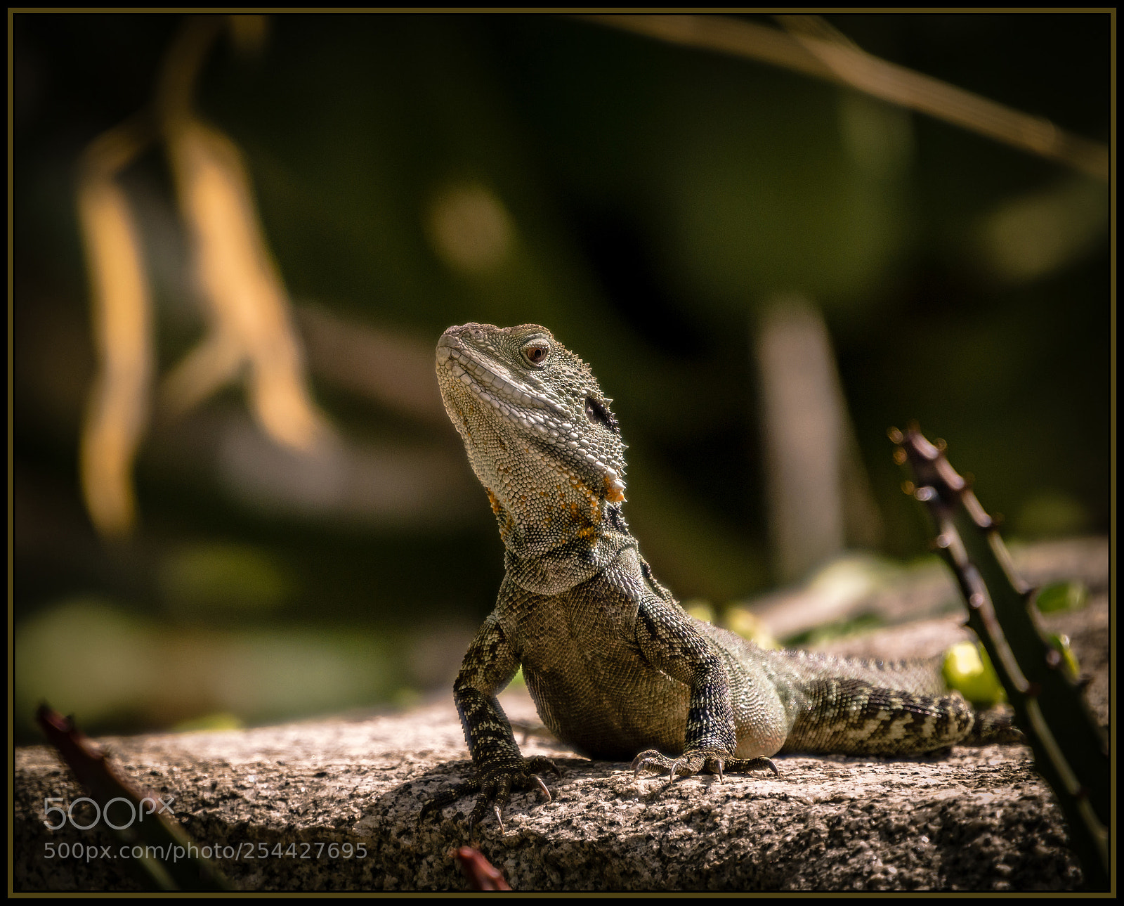 Nikon D7200 sample photo. Ready for action... photography