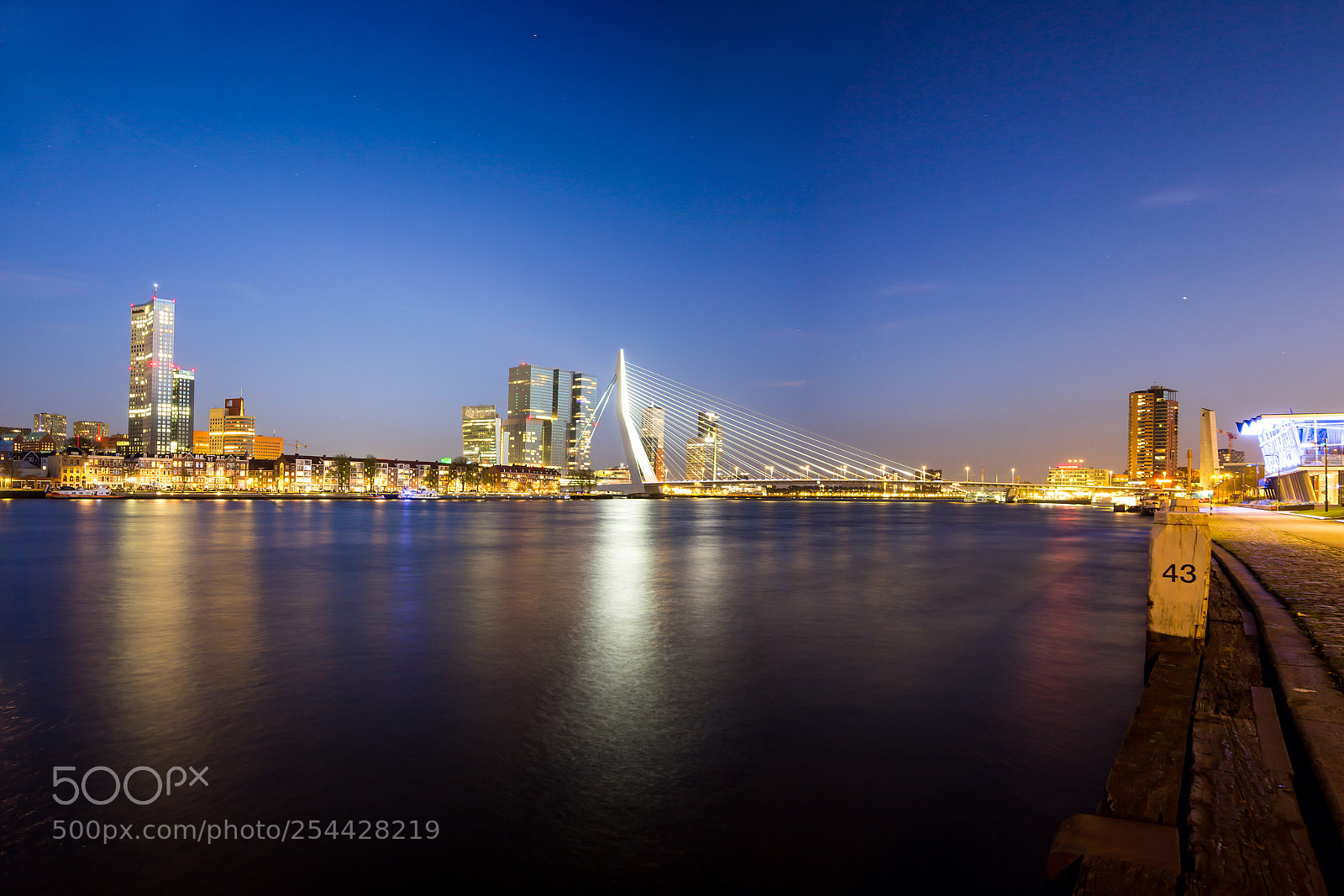 Canon EOS 60D sample photo. Erasmusbrug rotterdam photography