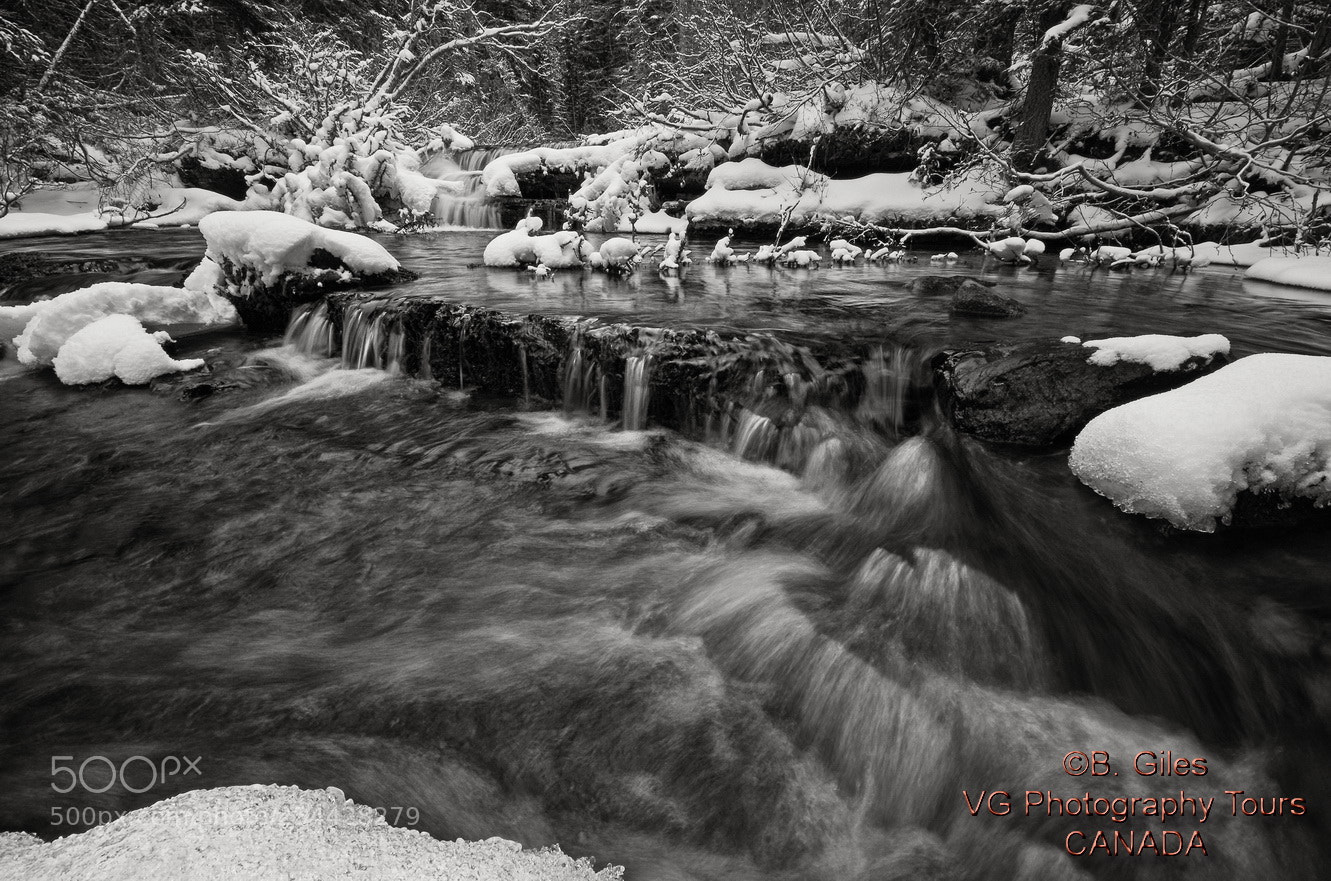 Pentax K-5 IIs sample photo. First snow photography