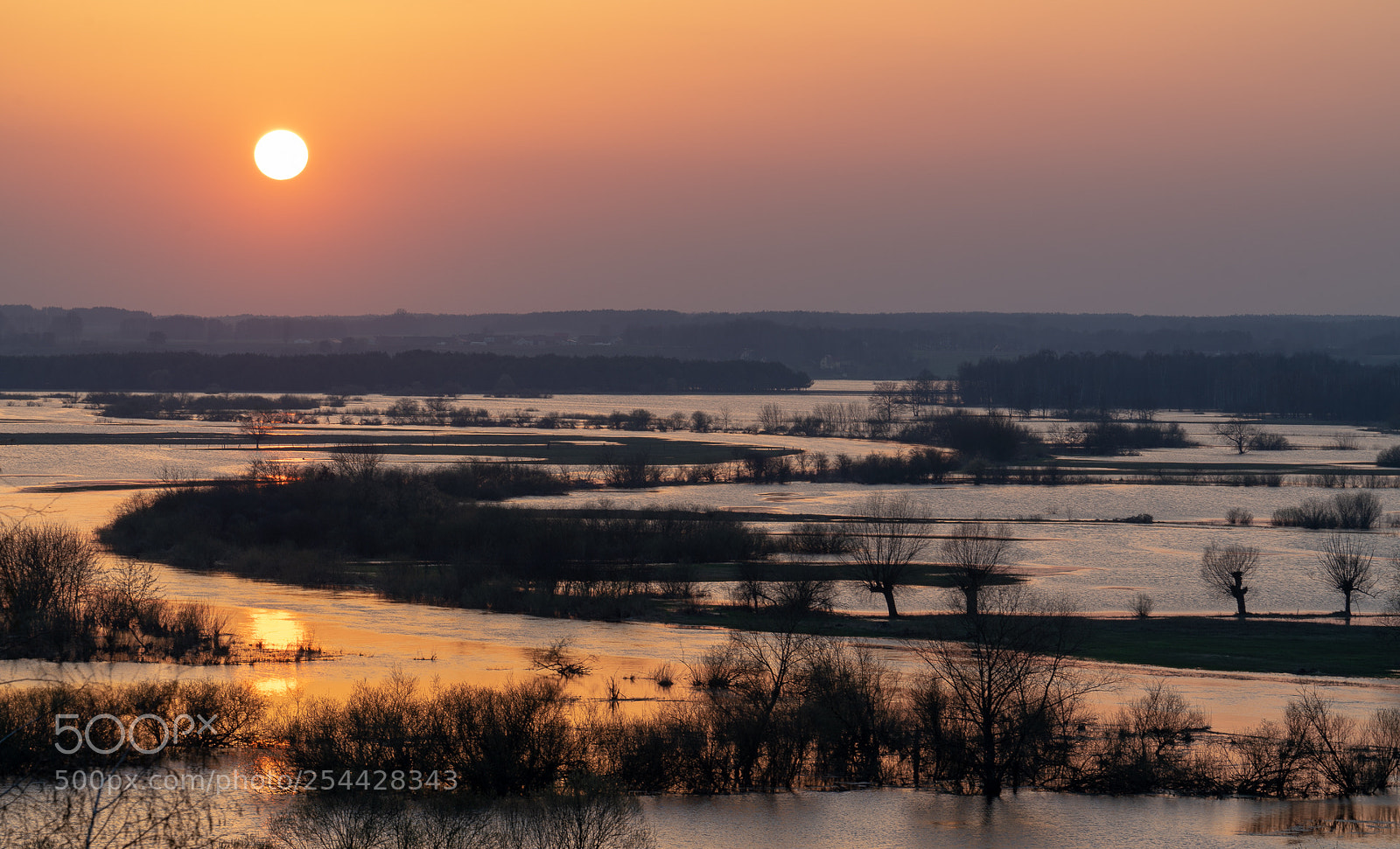 Sony a7R III sample photo. Sunset over the backwaters photography